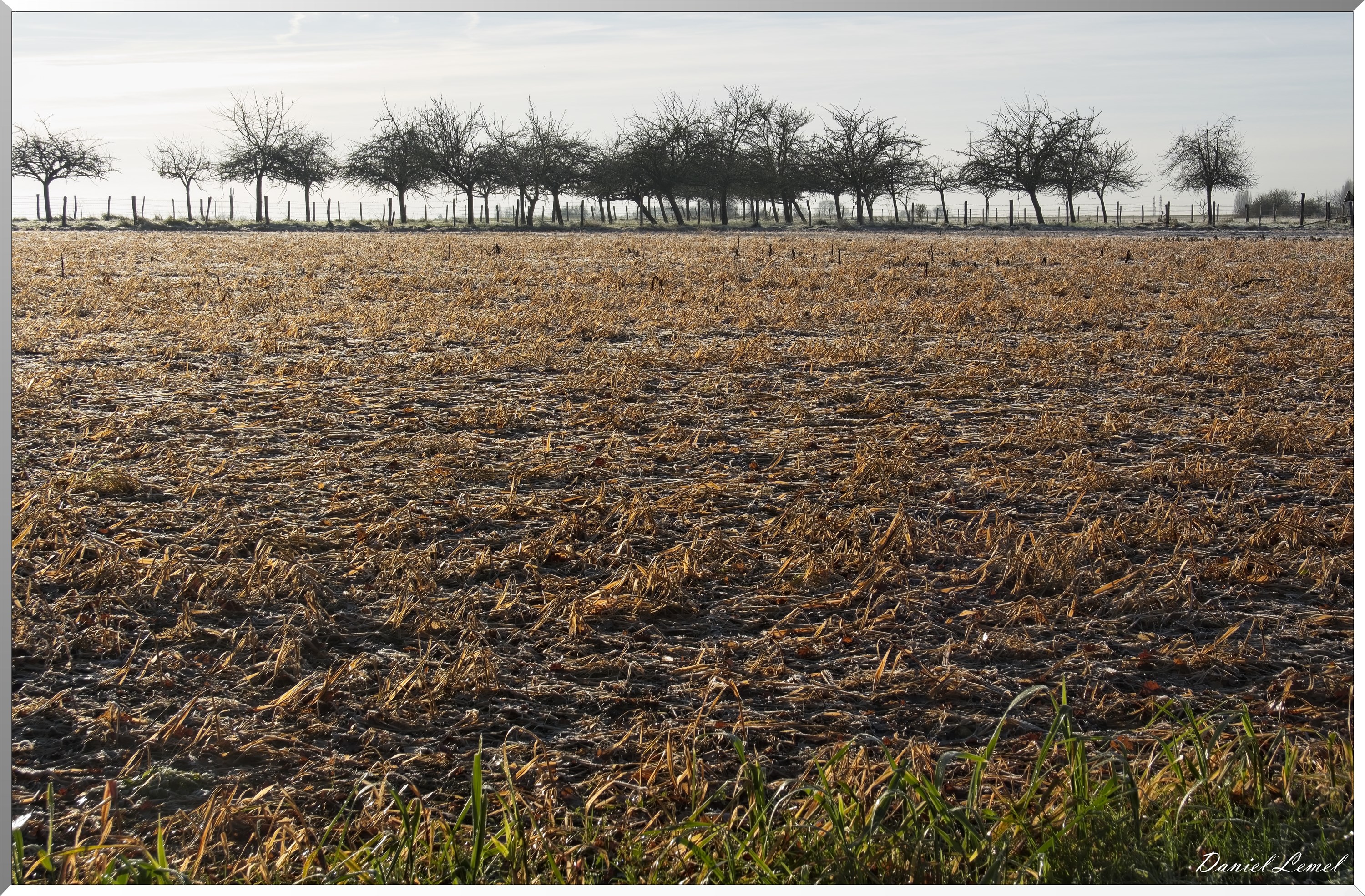 Dormont-Bois-de-Brillehaut