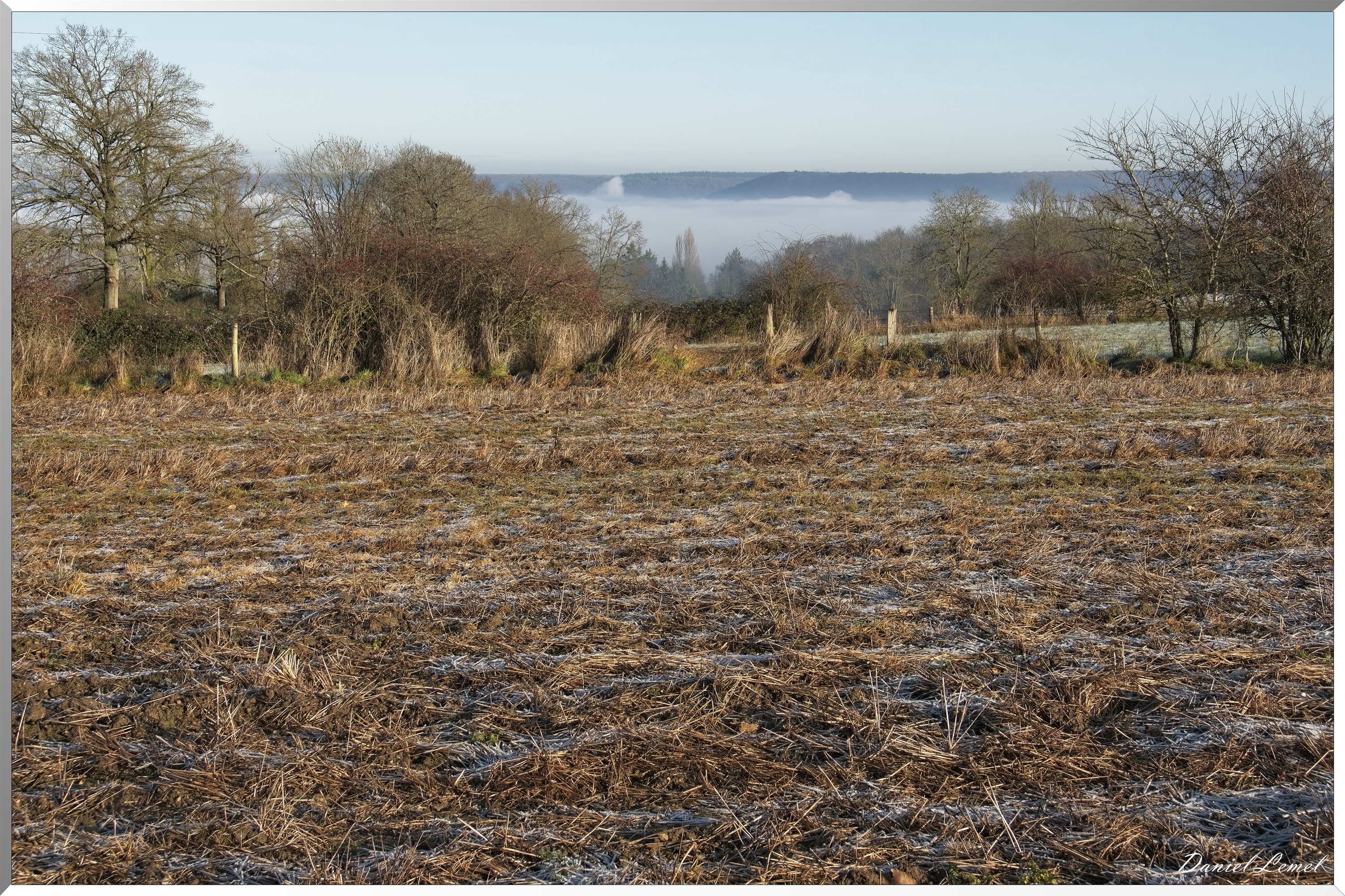 Dormont-Bois-de-Brillehaut