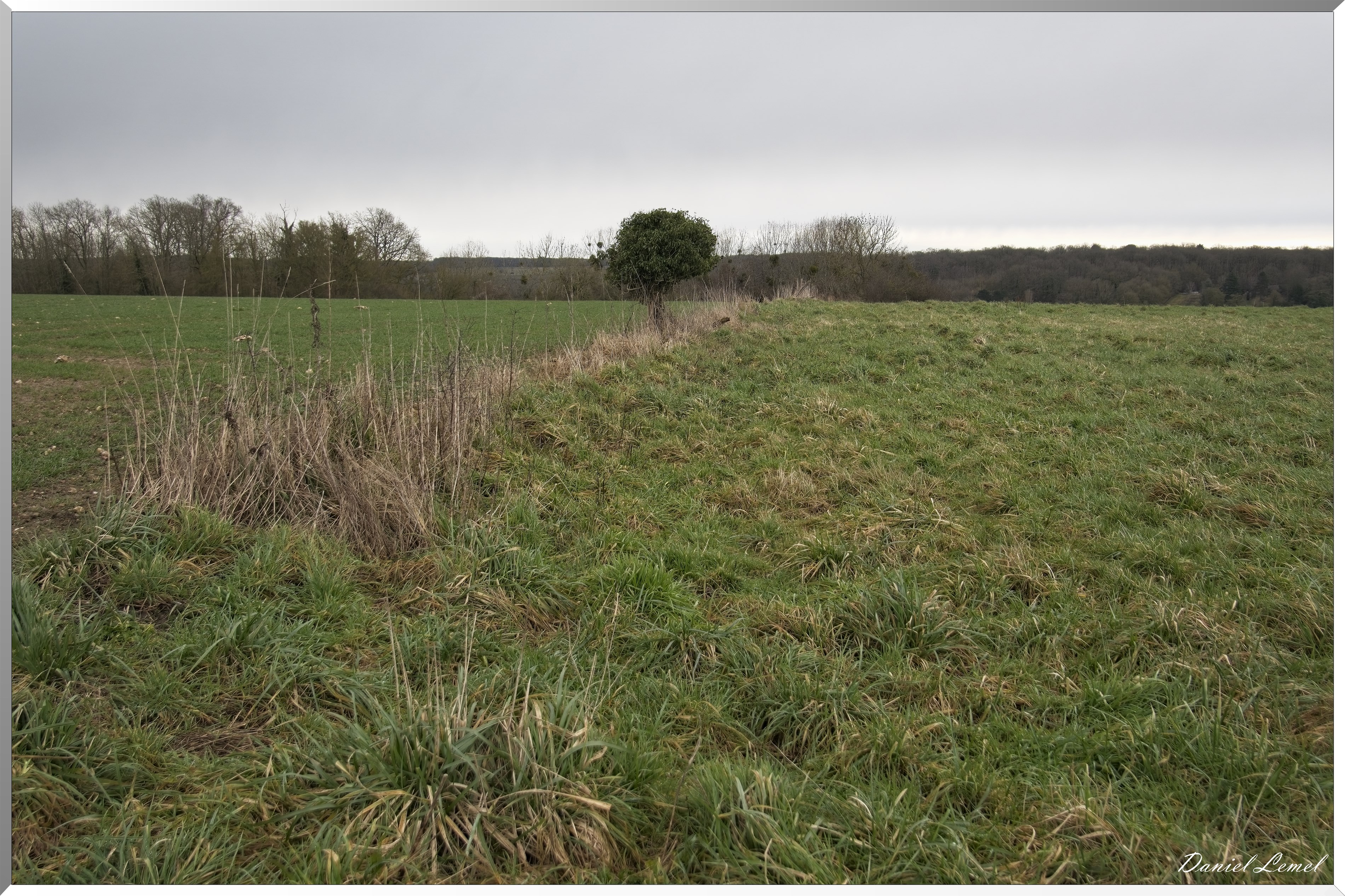 La-Chapelle-Réanville
