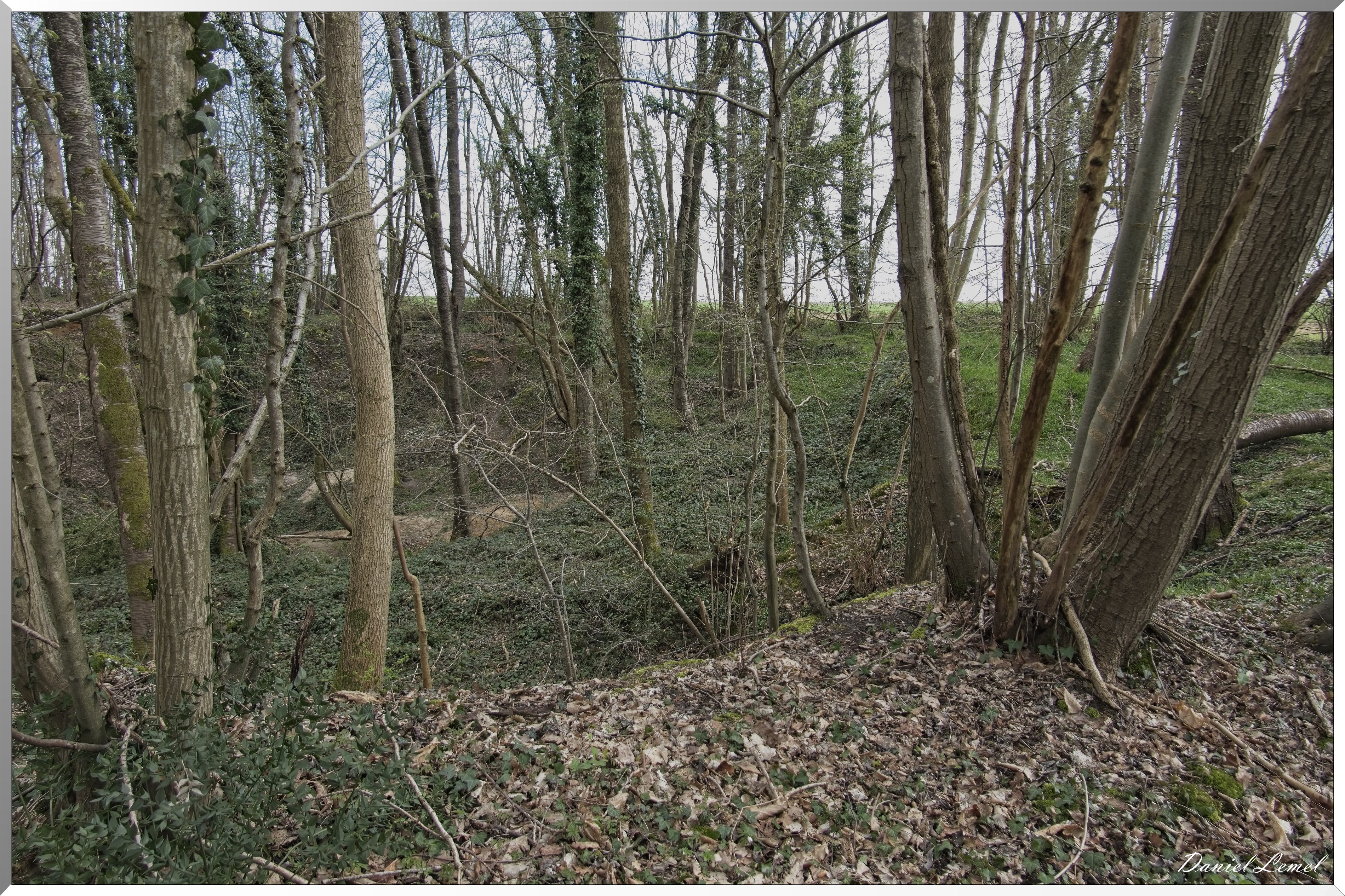 Bois-Jérôme-St-Ouen