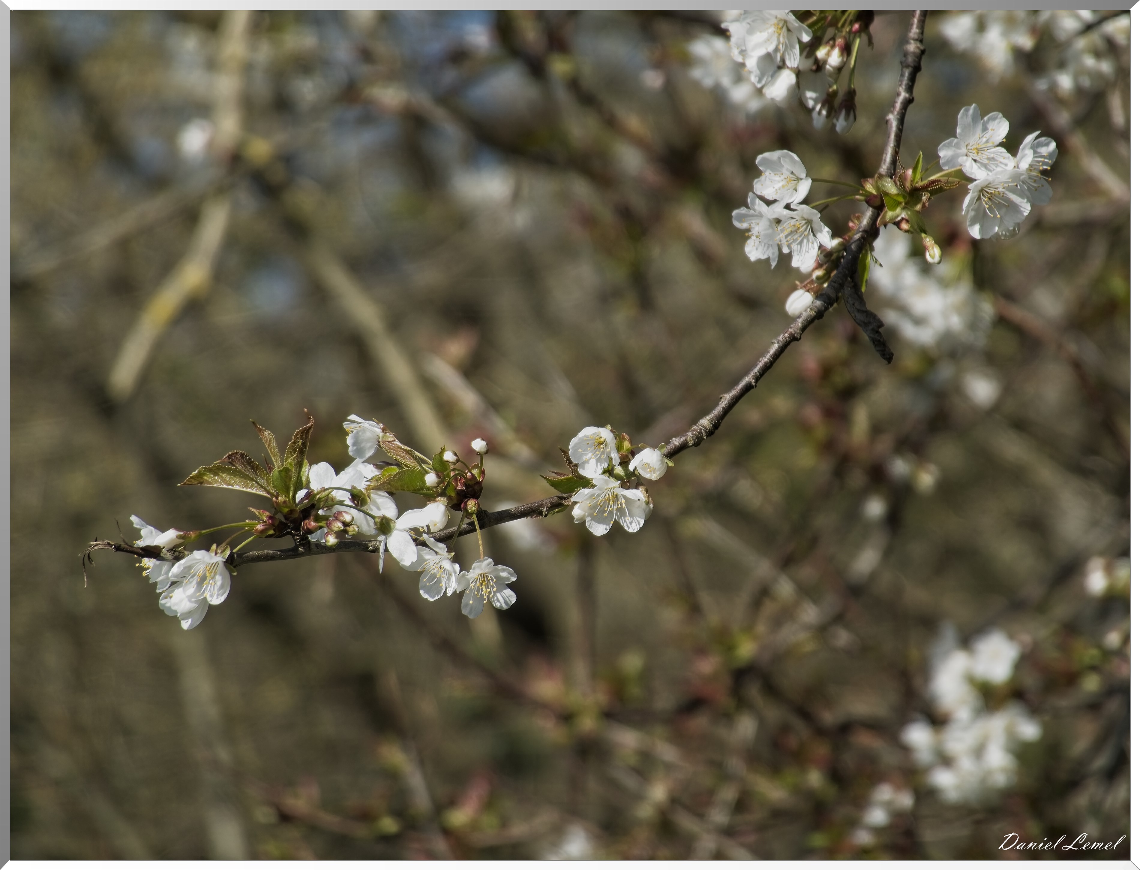La-Chapelle-Réanville
