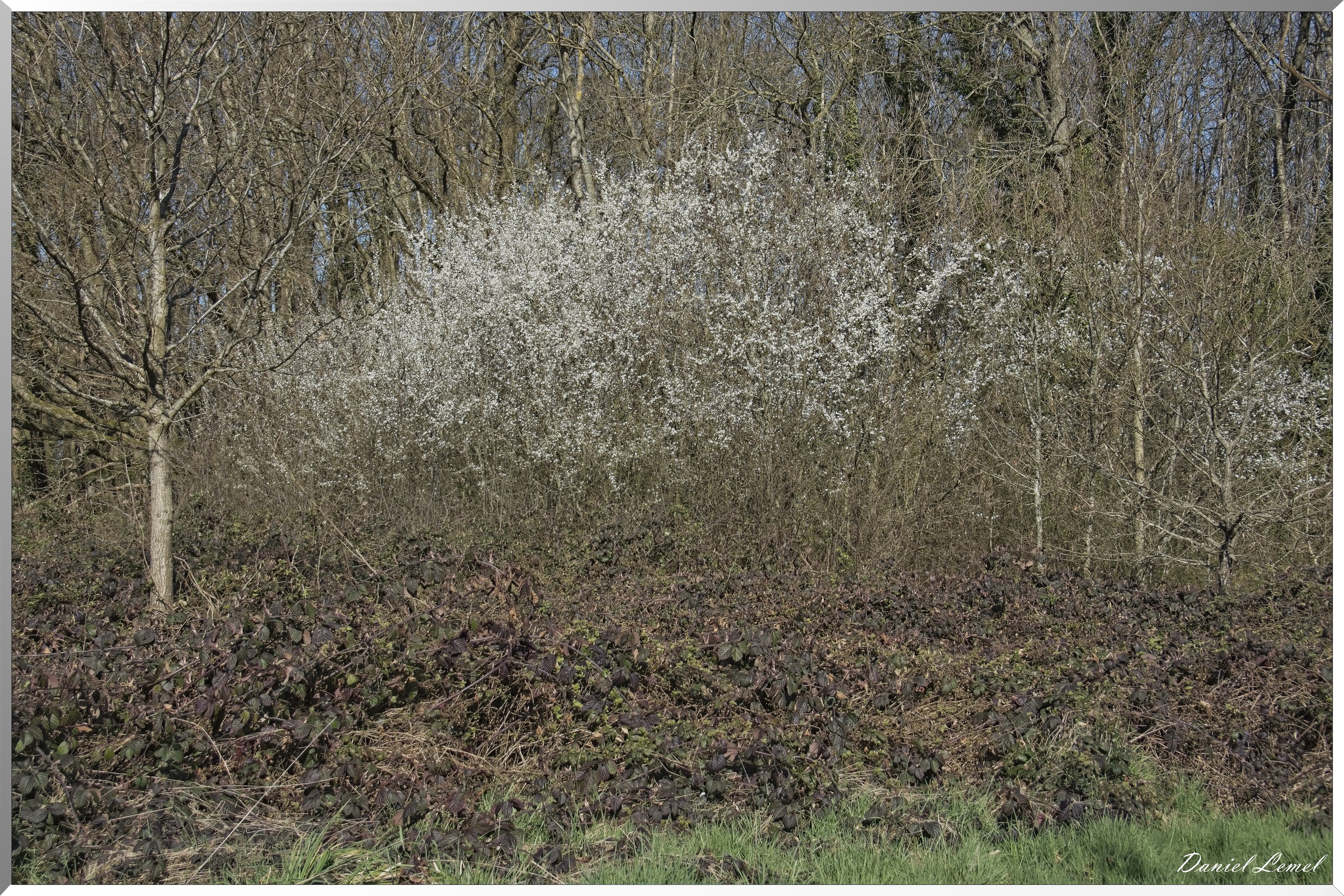 La-Chapelle-Réanville