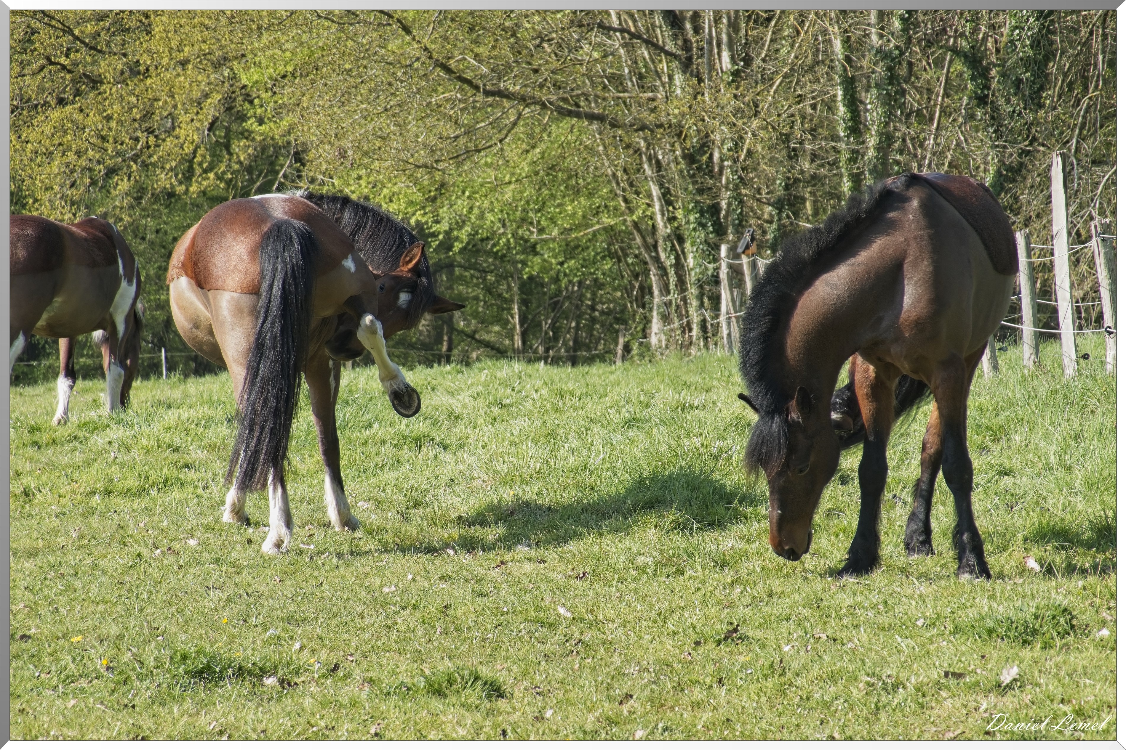 Autheuil-Authouillet