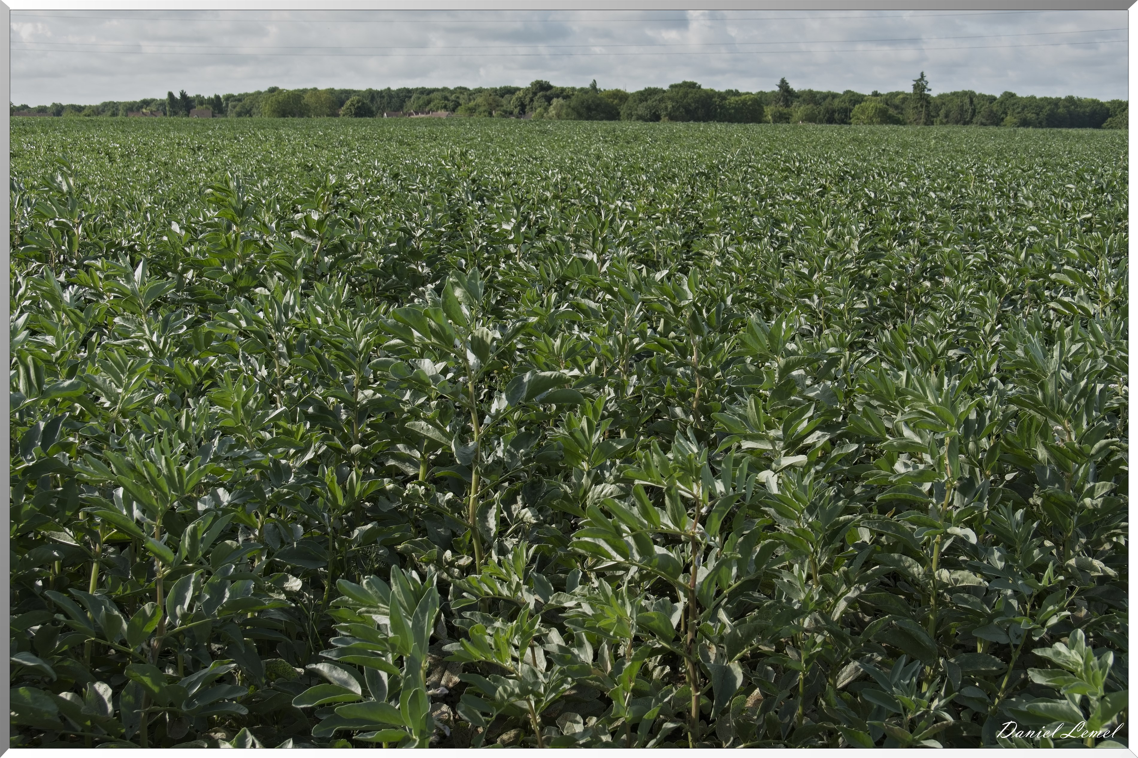 La-Villeneuve-en-Chevrie