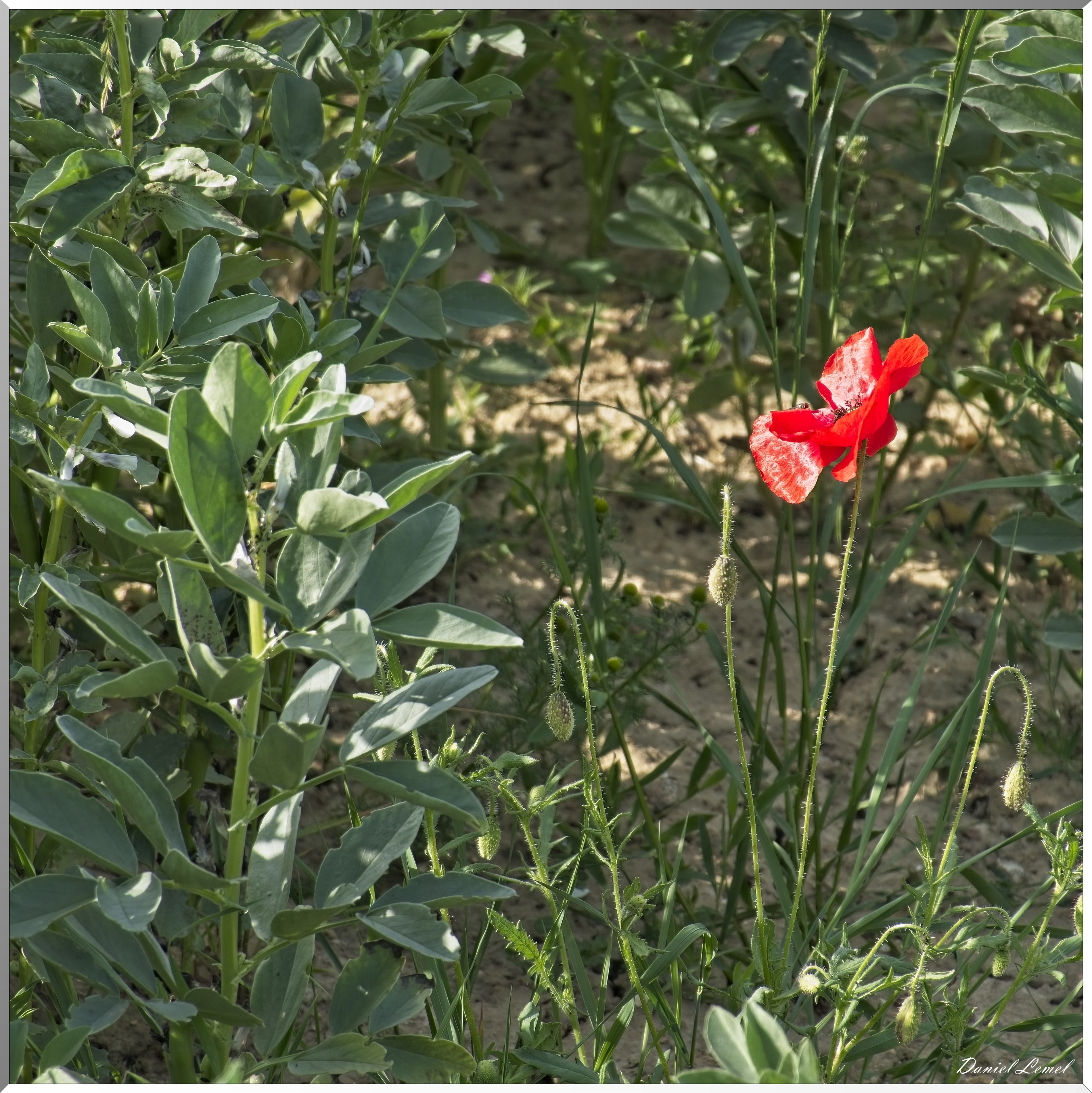 La-Villeneuve-en-Chevrie