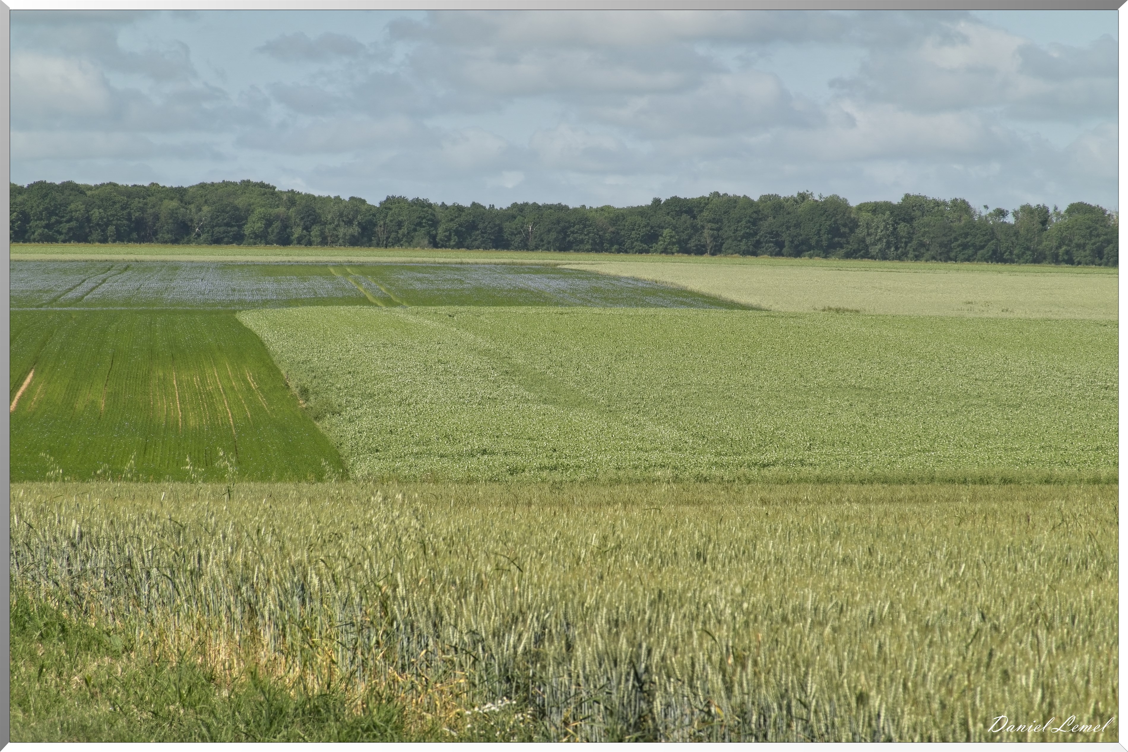 La-Villeneuve-en-Chevrie