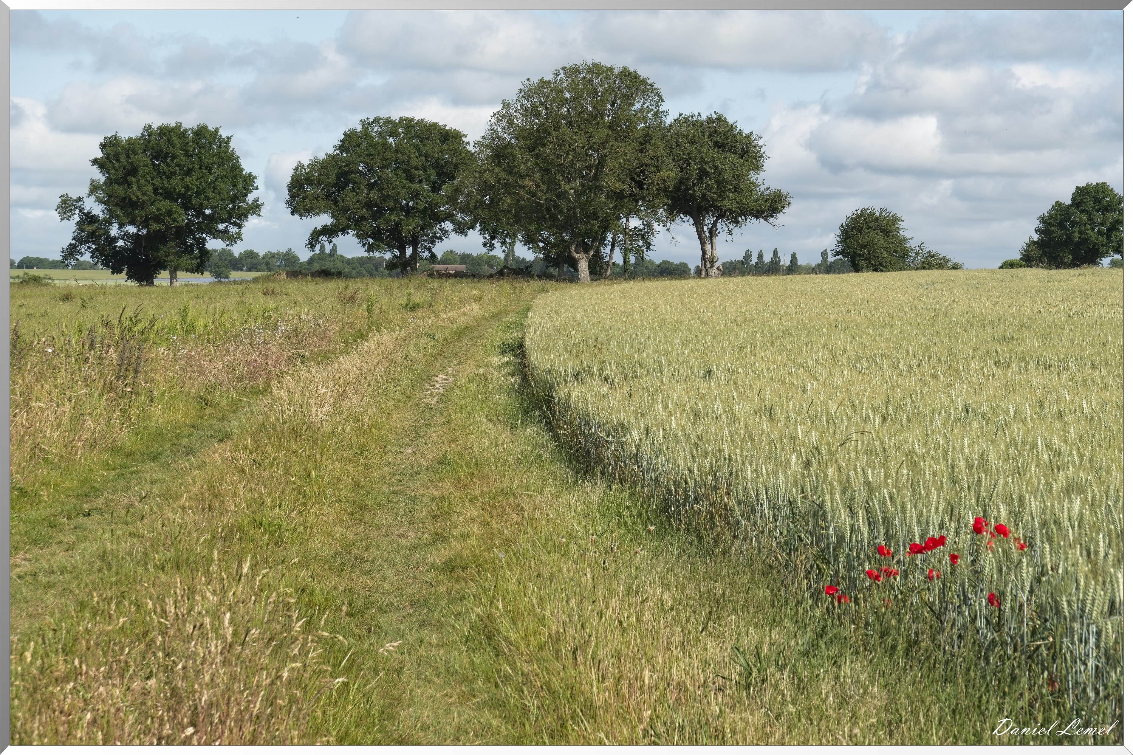 La-Villeneuve-en-Chevrie