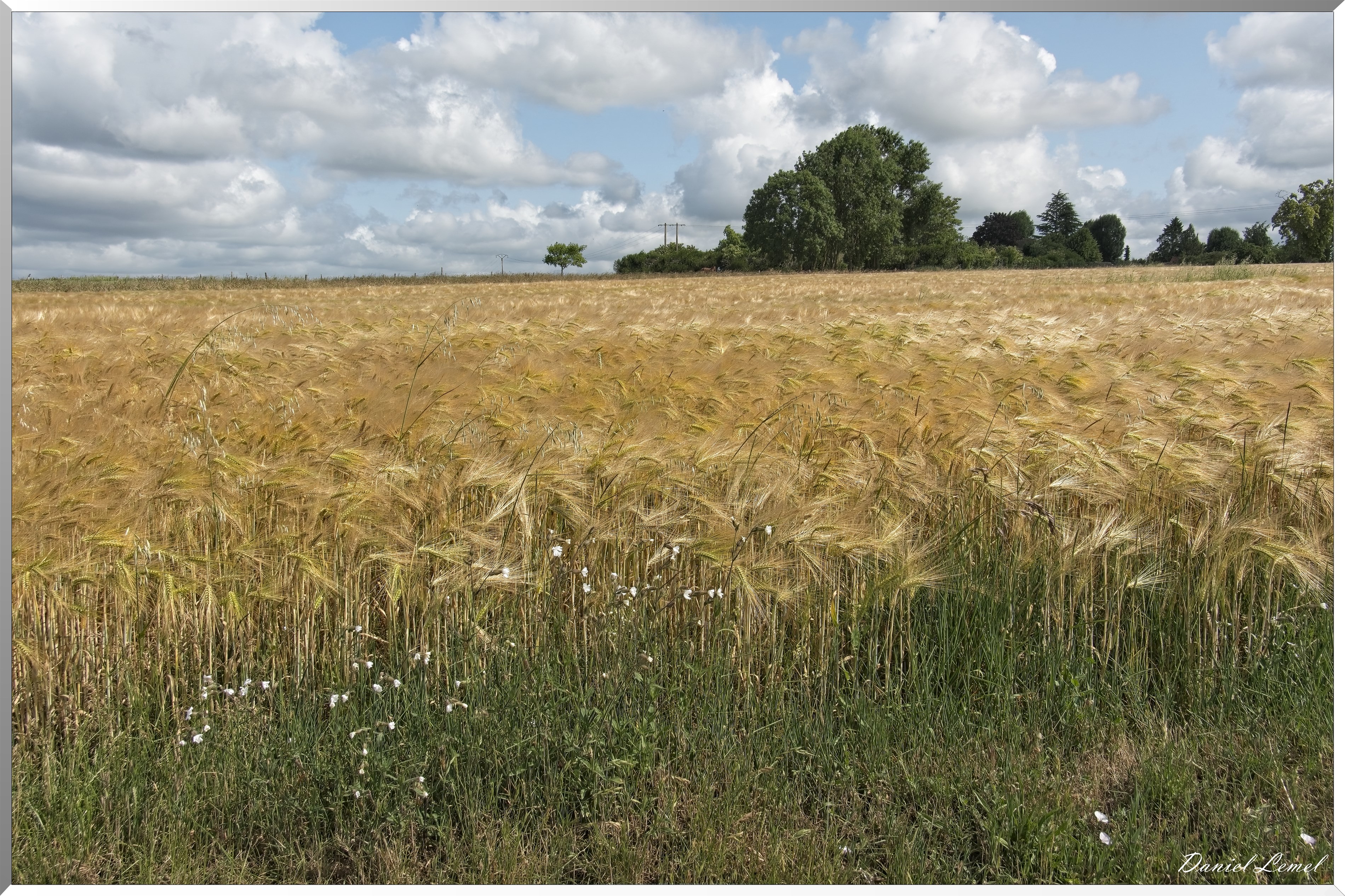 La-Villeneuve-en-Chevrie