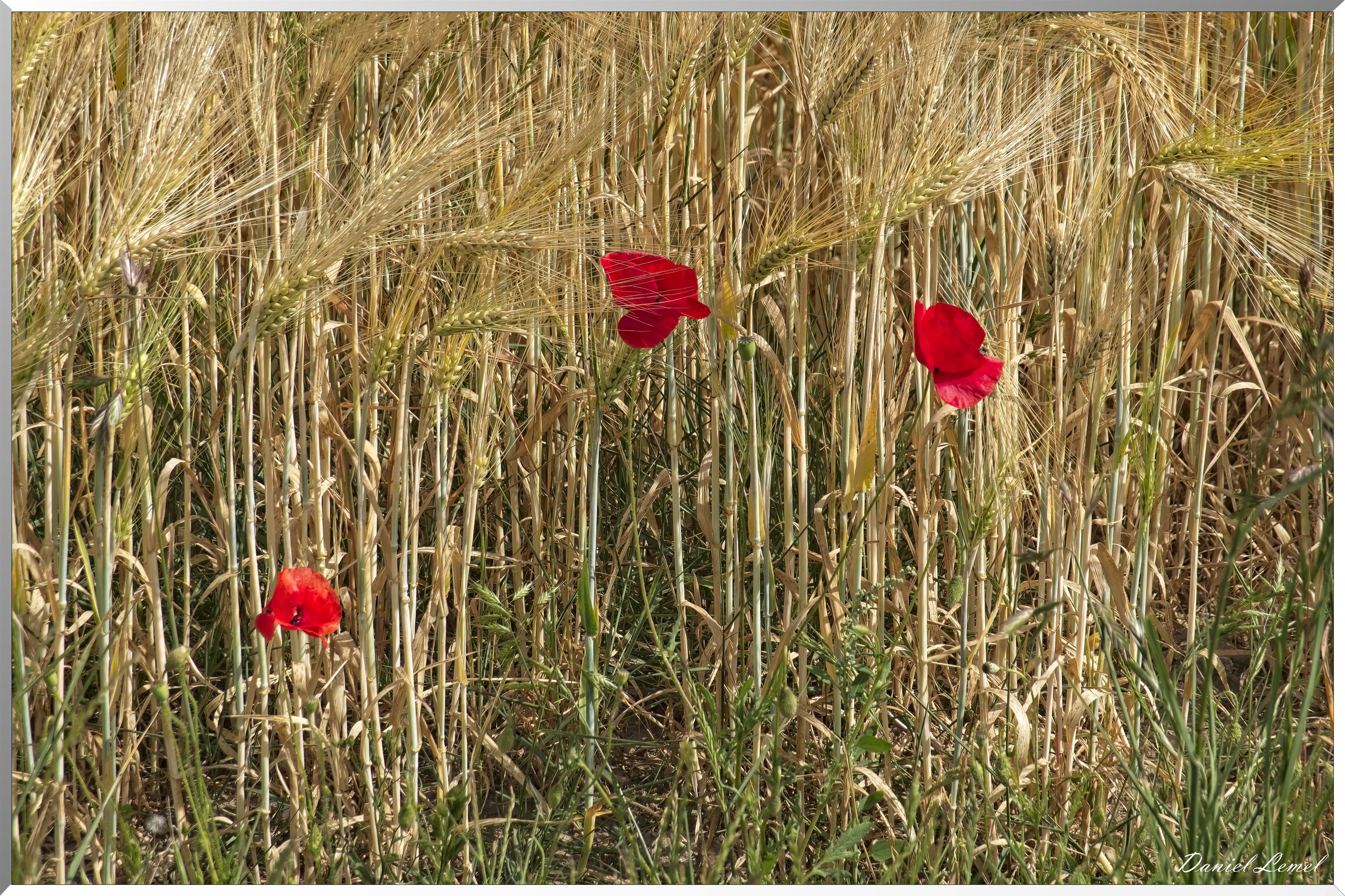 La-Villeneuve-en-Chevrie