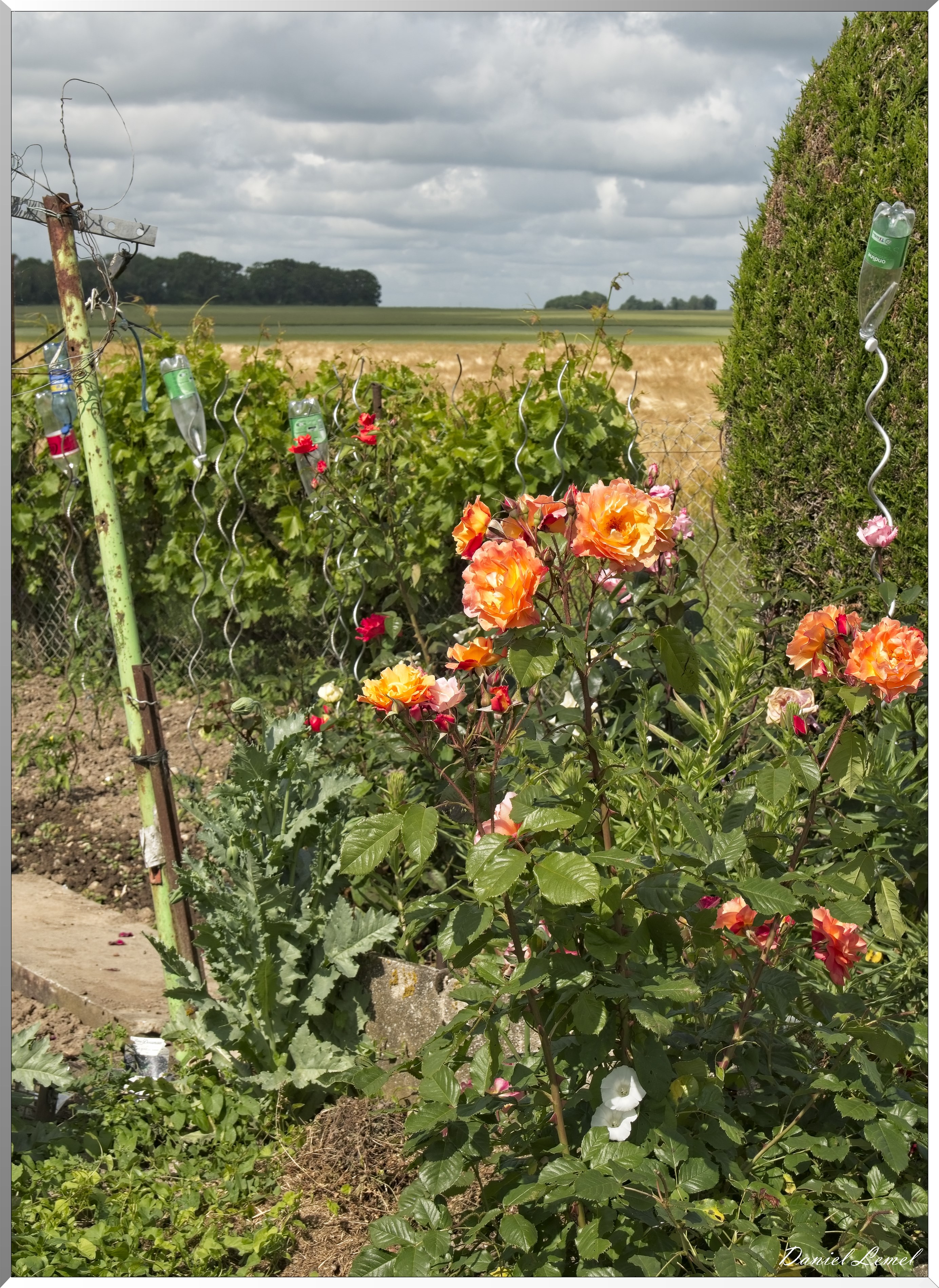 La-Villeneuve-en-Chevrie