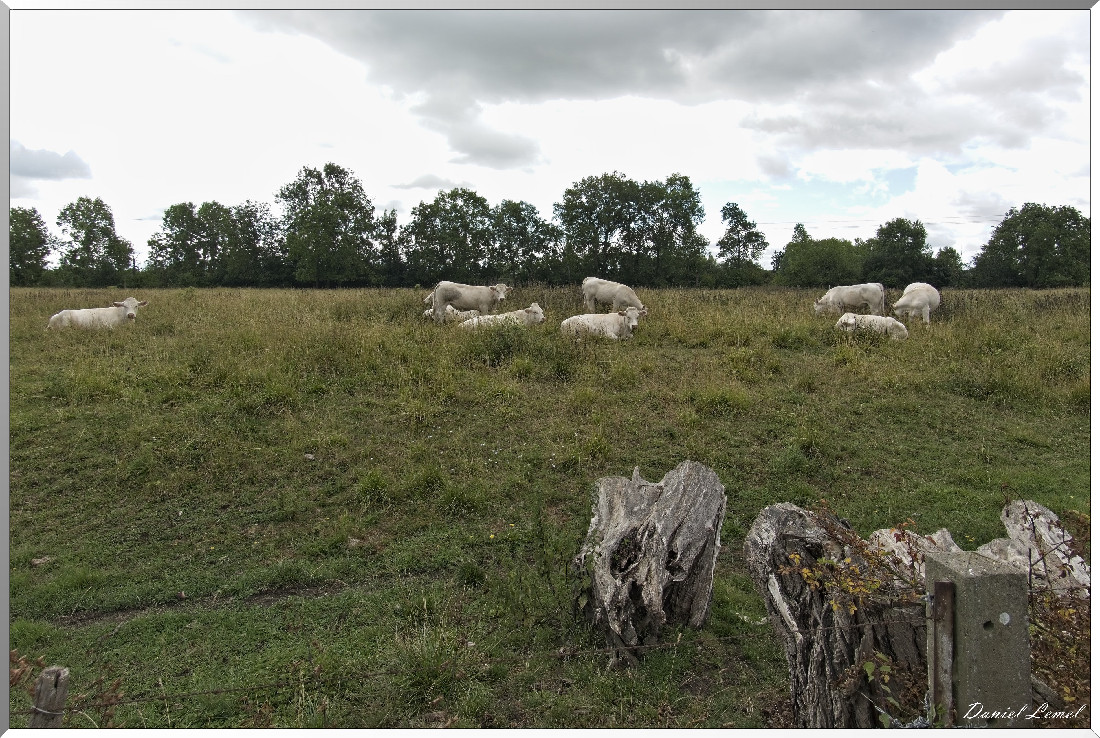 Gommecourt