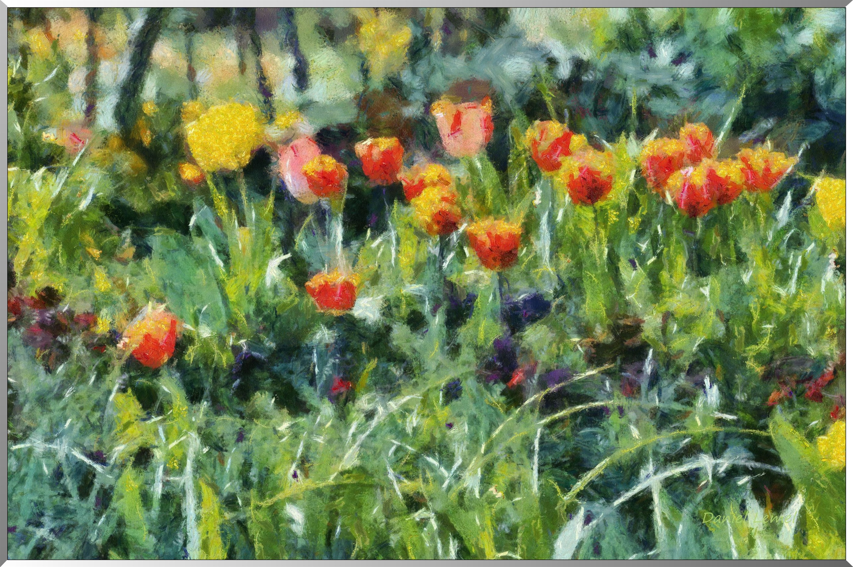 Tulipes