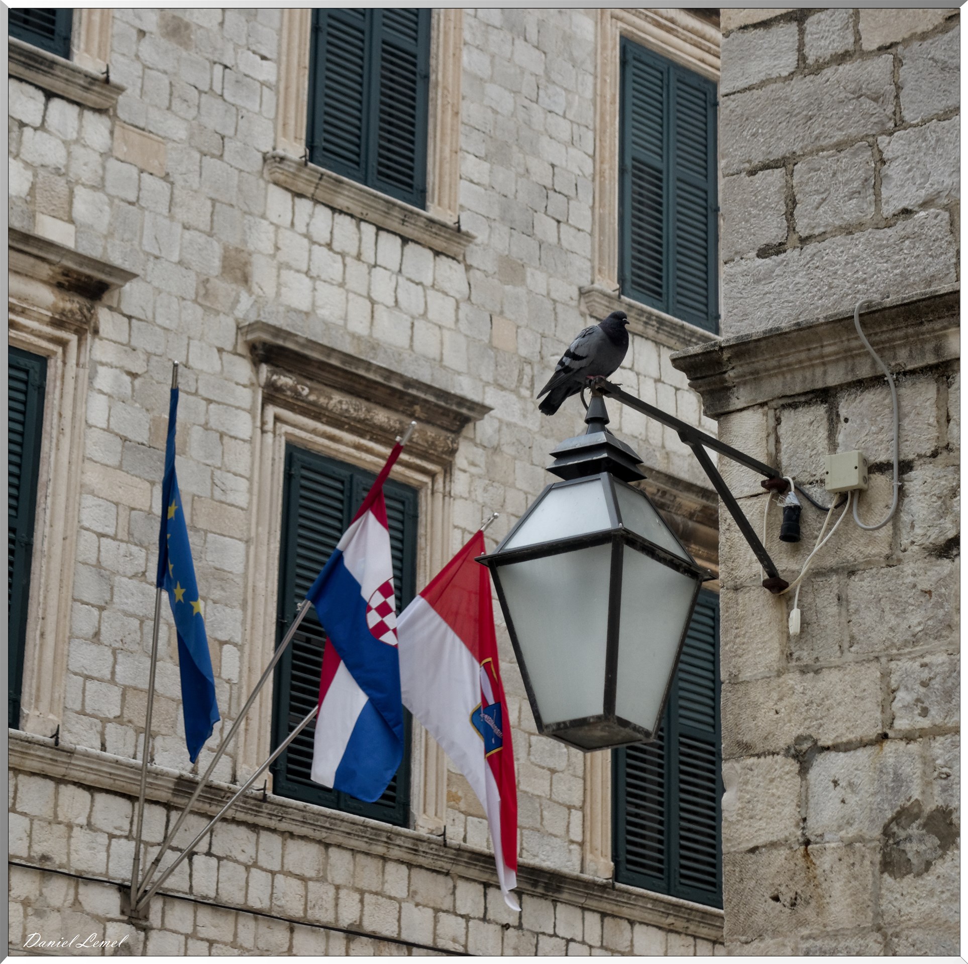 Lanterne et pigeon