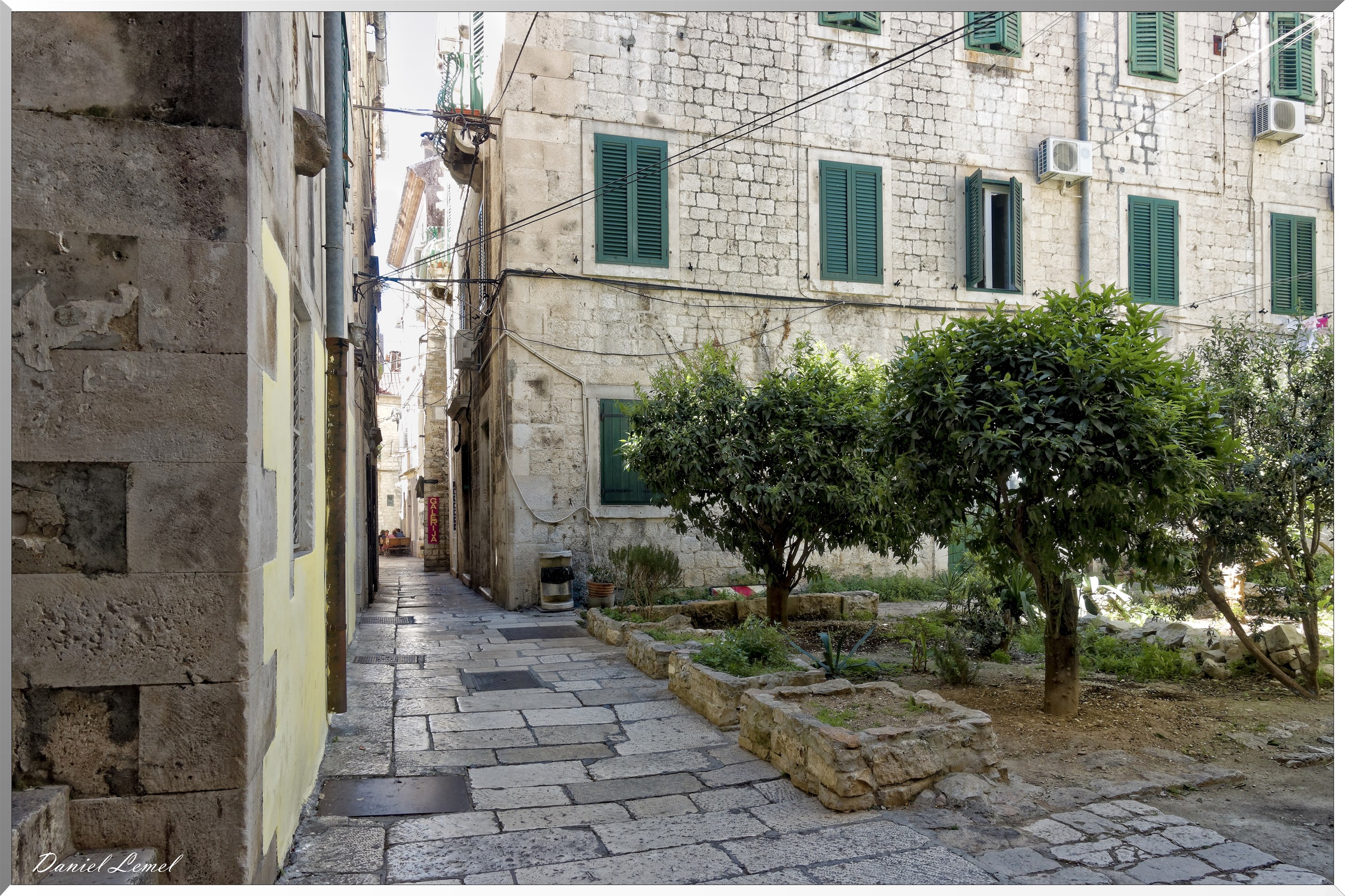 Ruelle