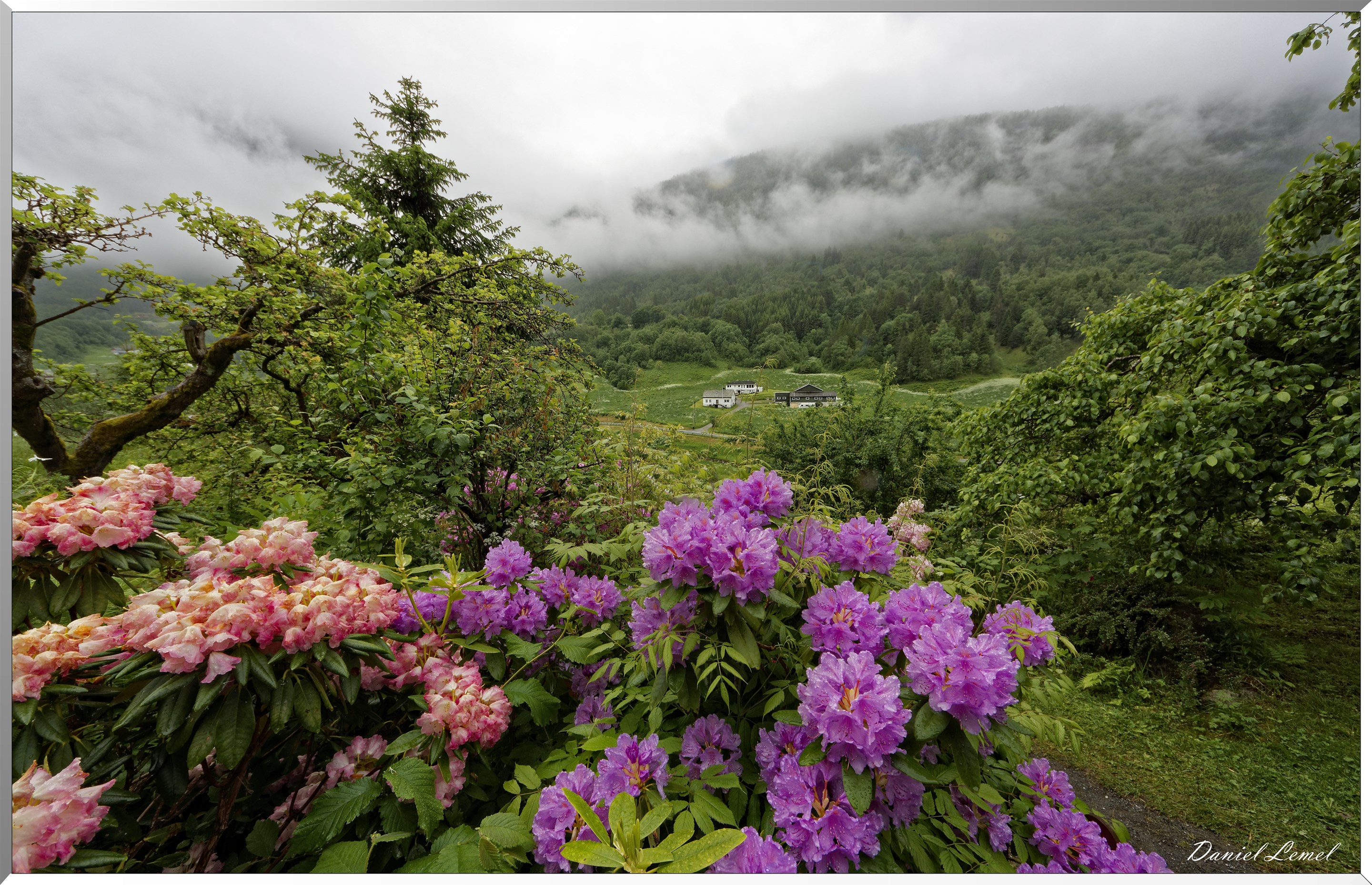 Environ de Dalsbygda