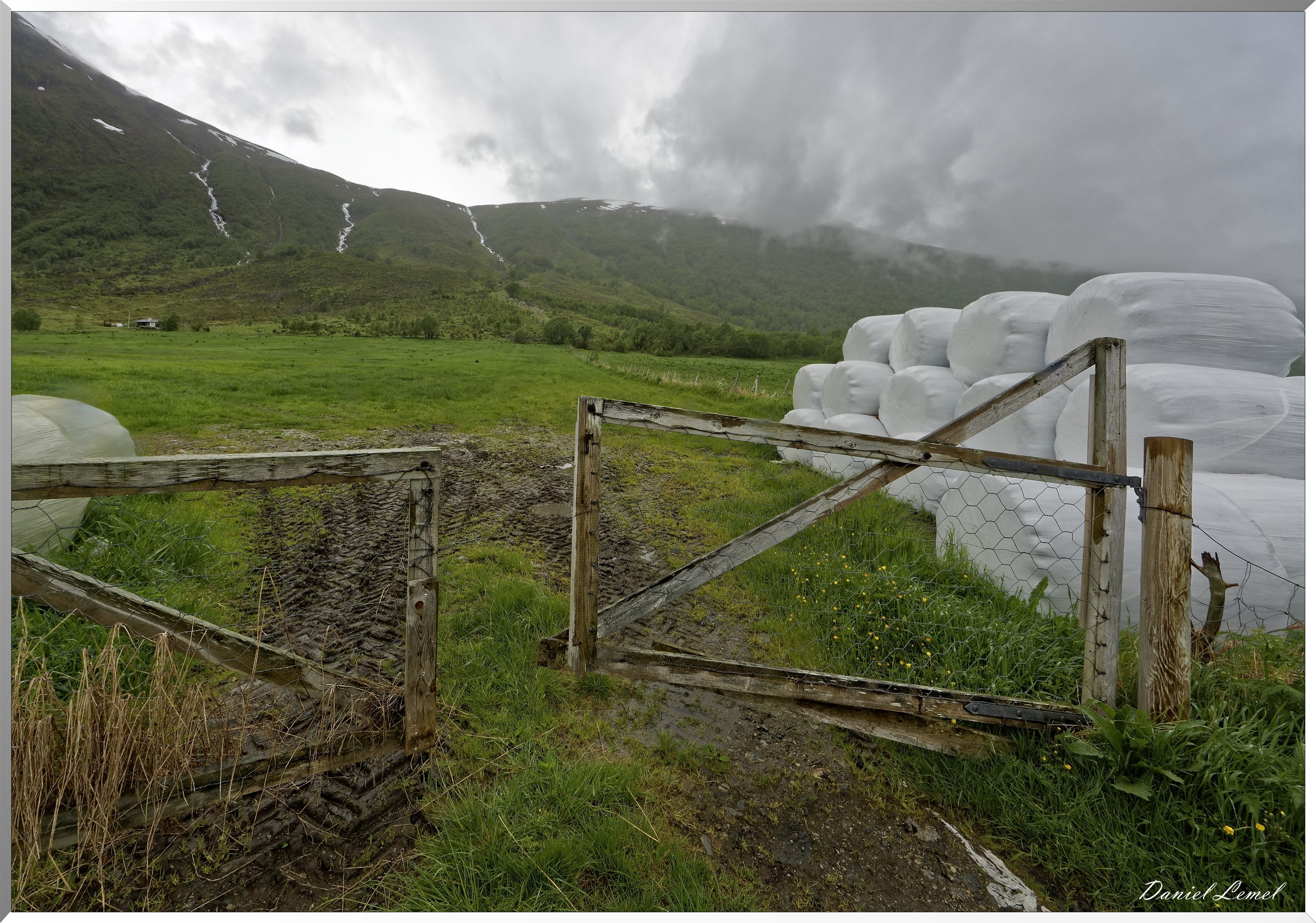 Environ de Dalsbygda