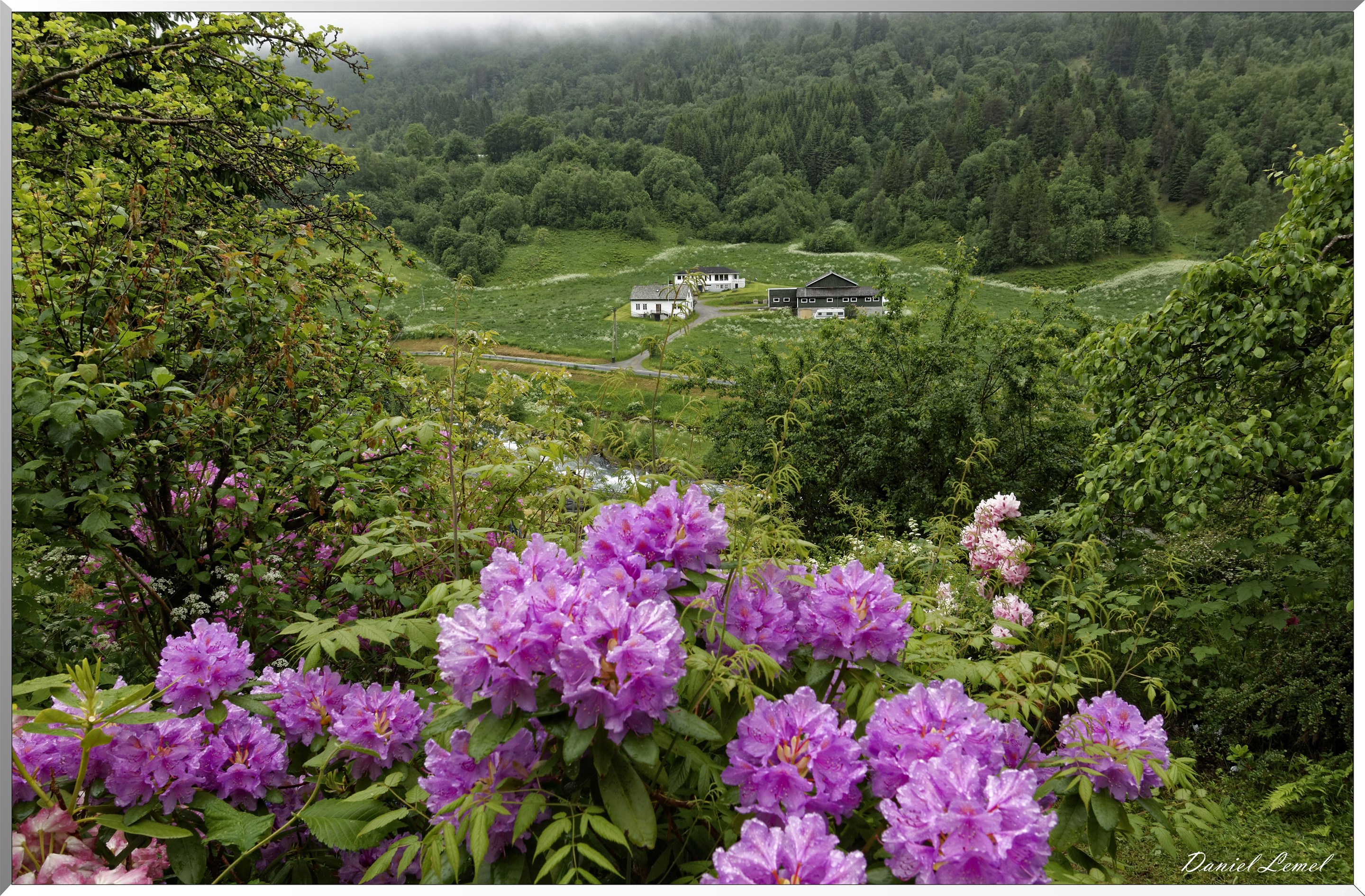 Environ de Dalsbygda