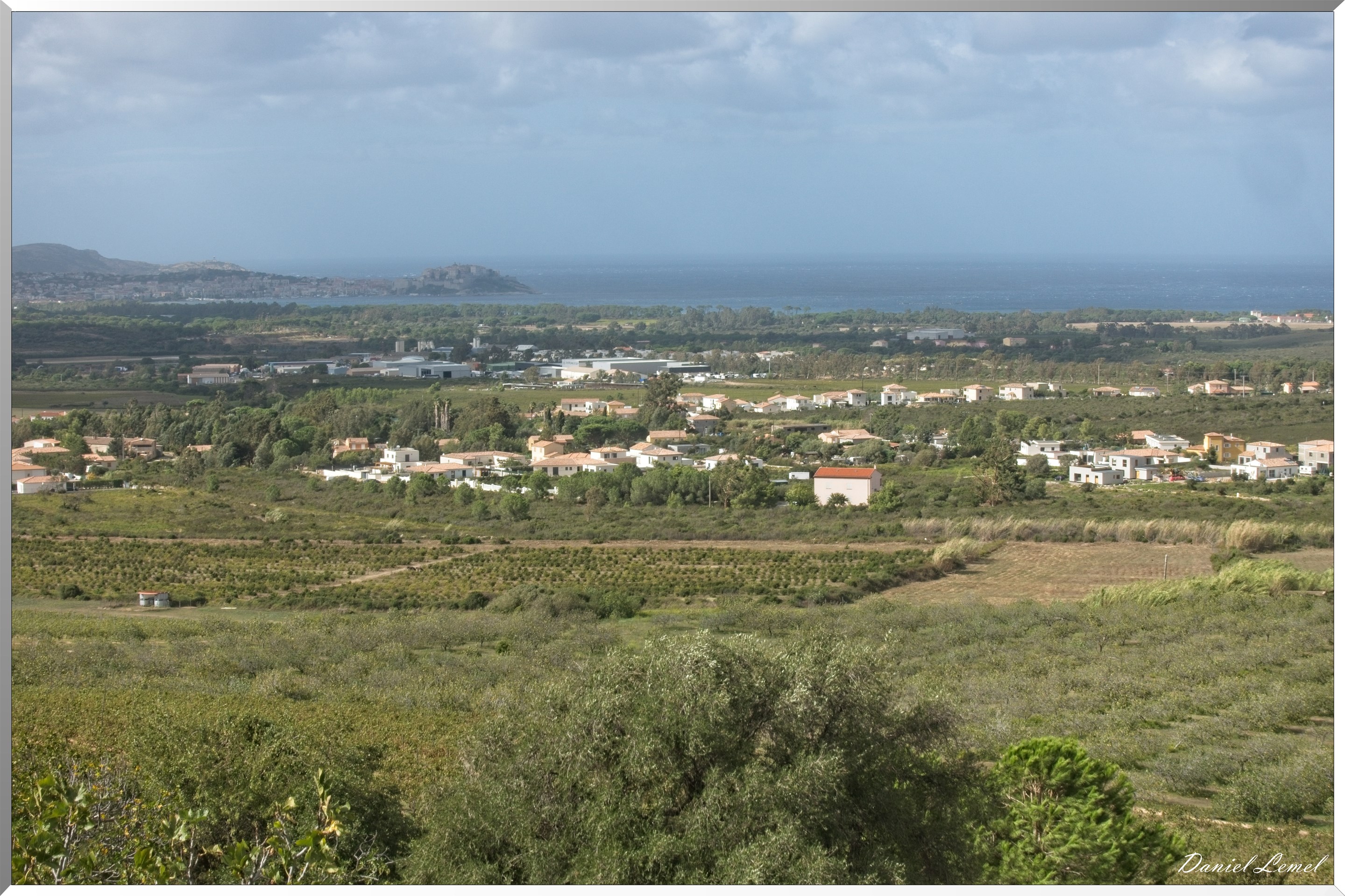 Calvi