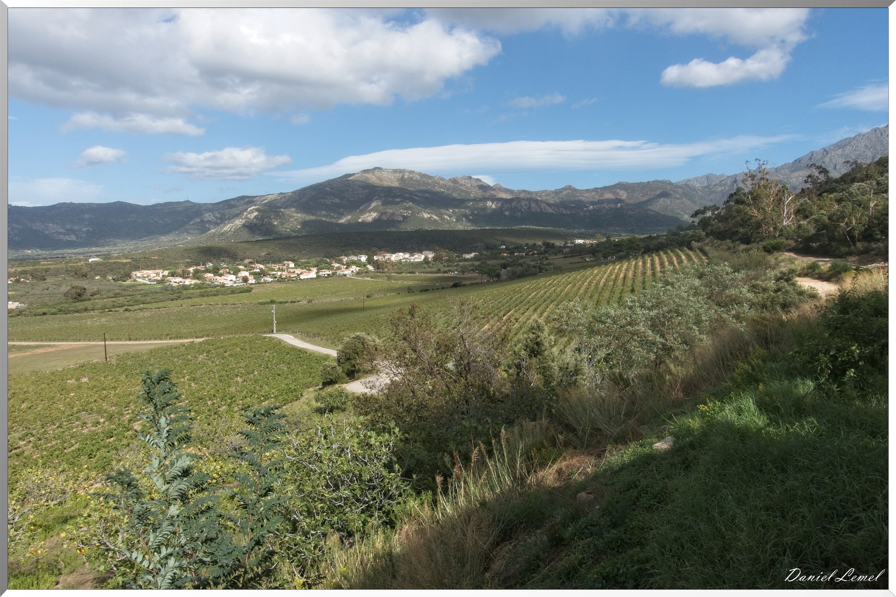 Vignobles