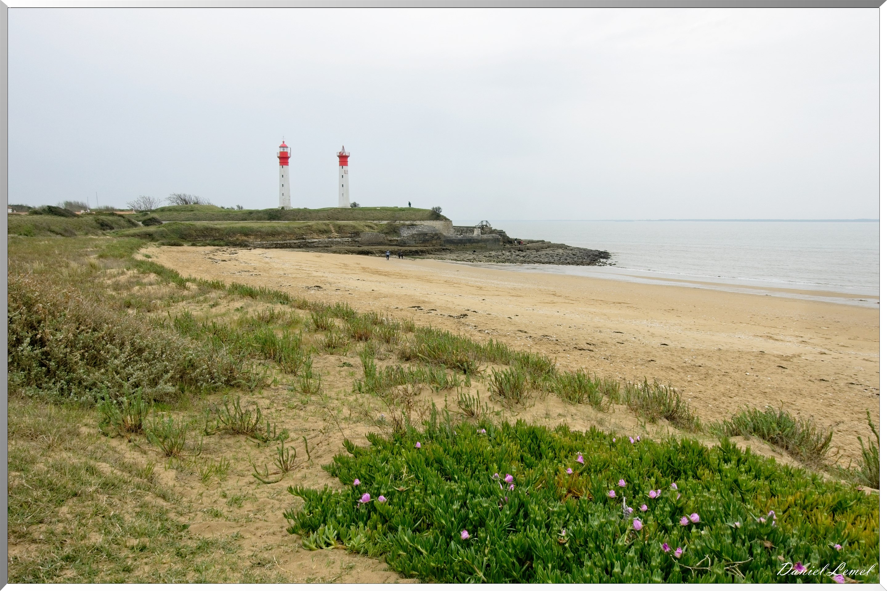 DSC3704 1