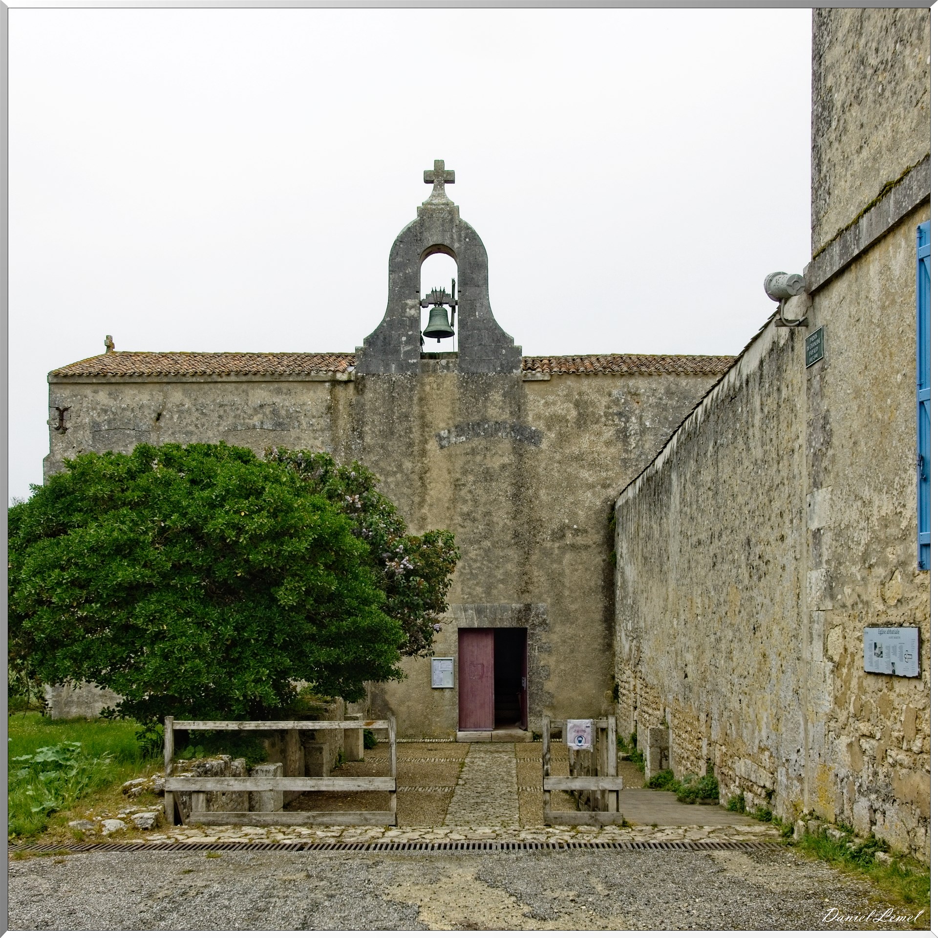  DSC3744 1