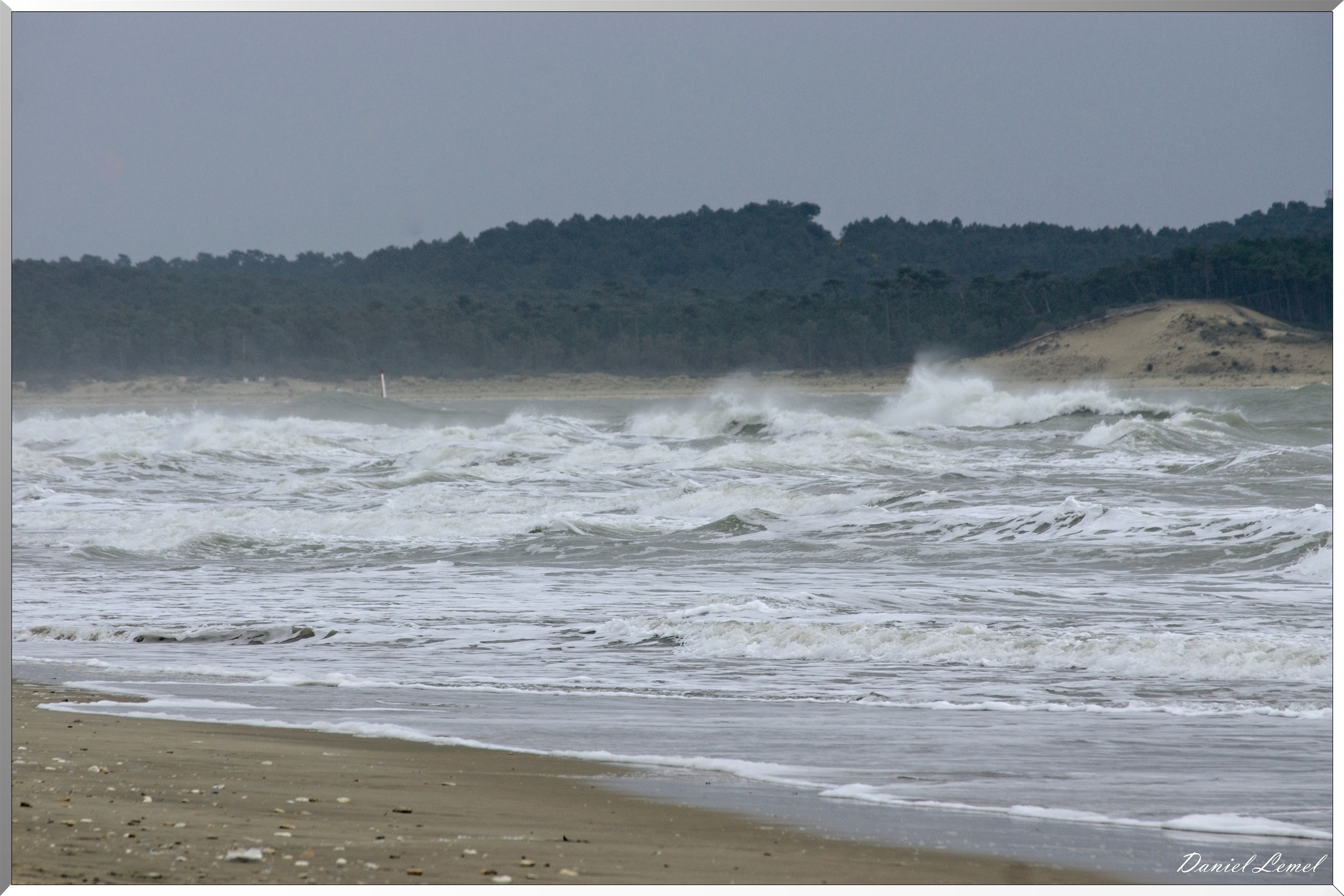  DSC3844 1