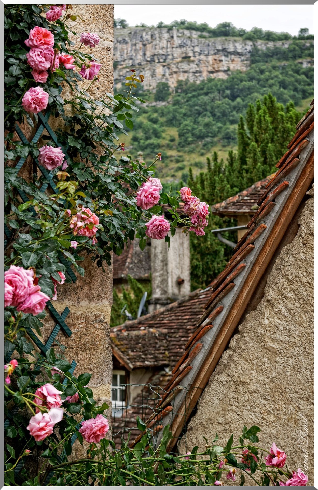 Toit de maisons