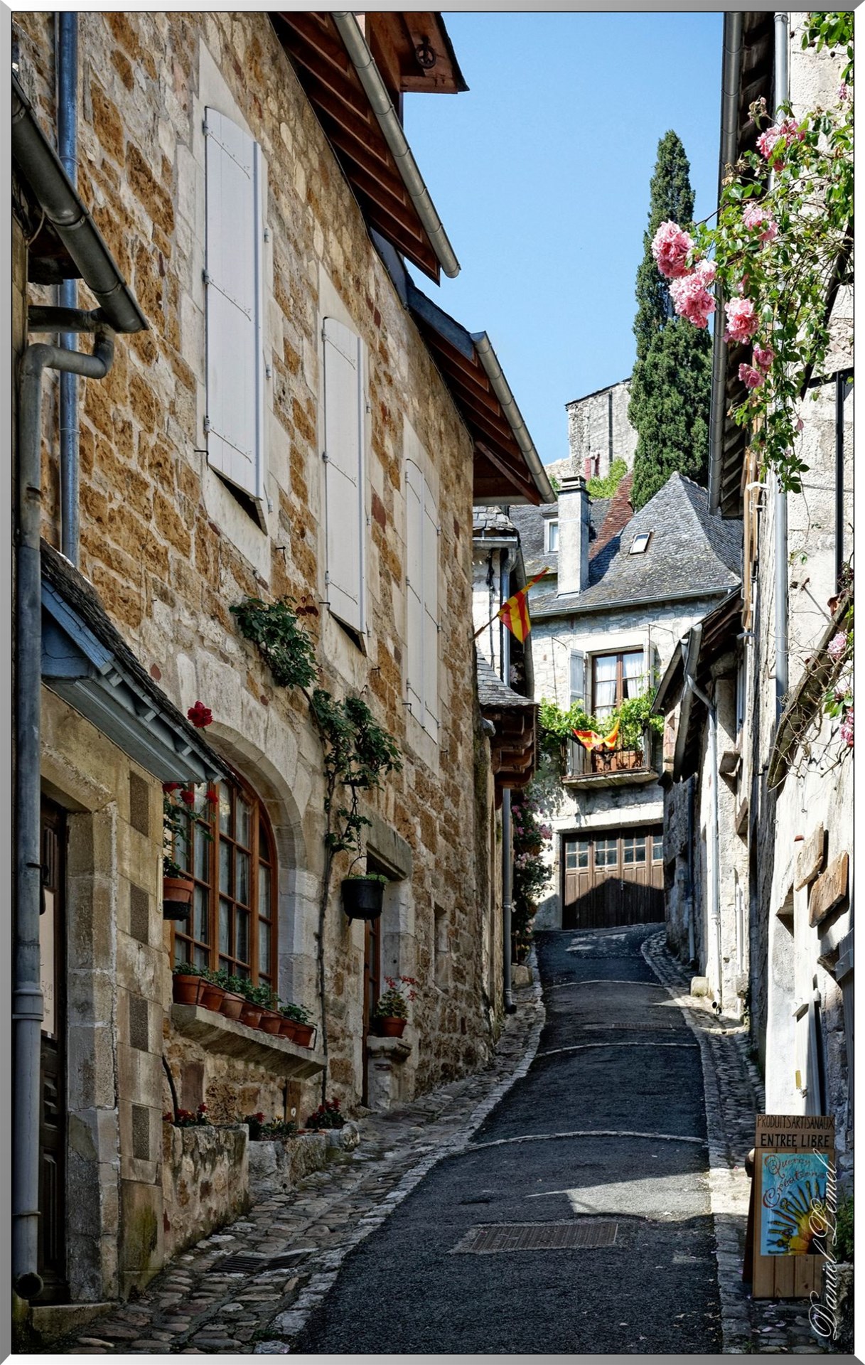 Ruelle