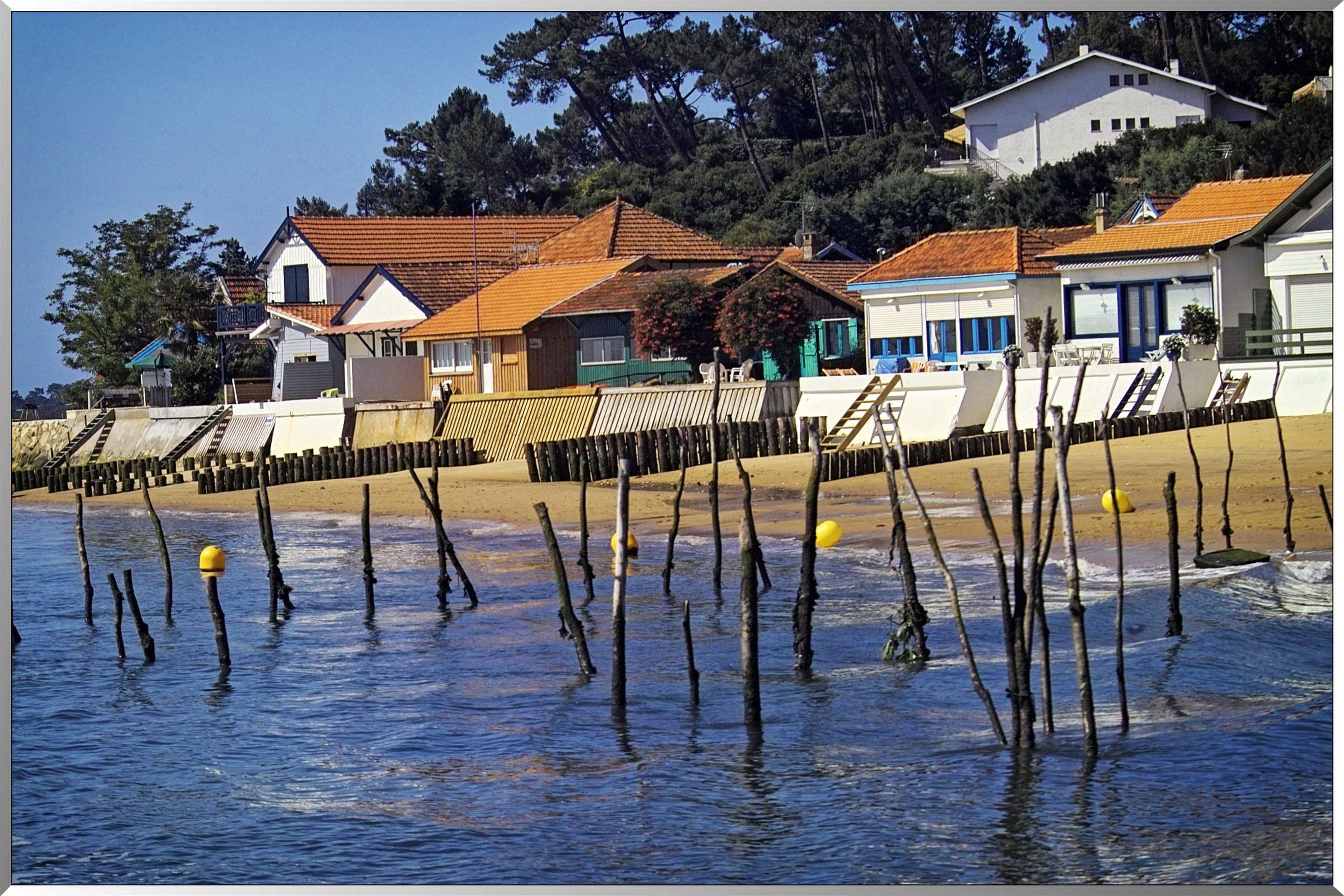 Bord du bassin d'arcachon
