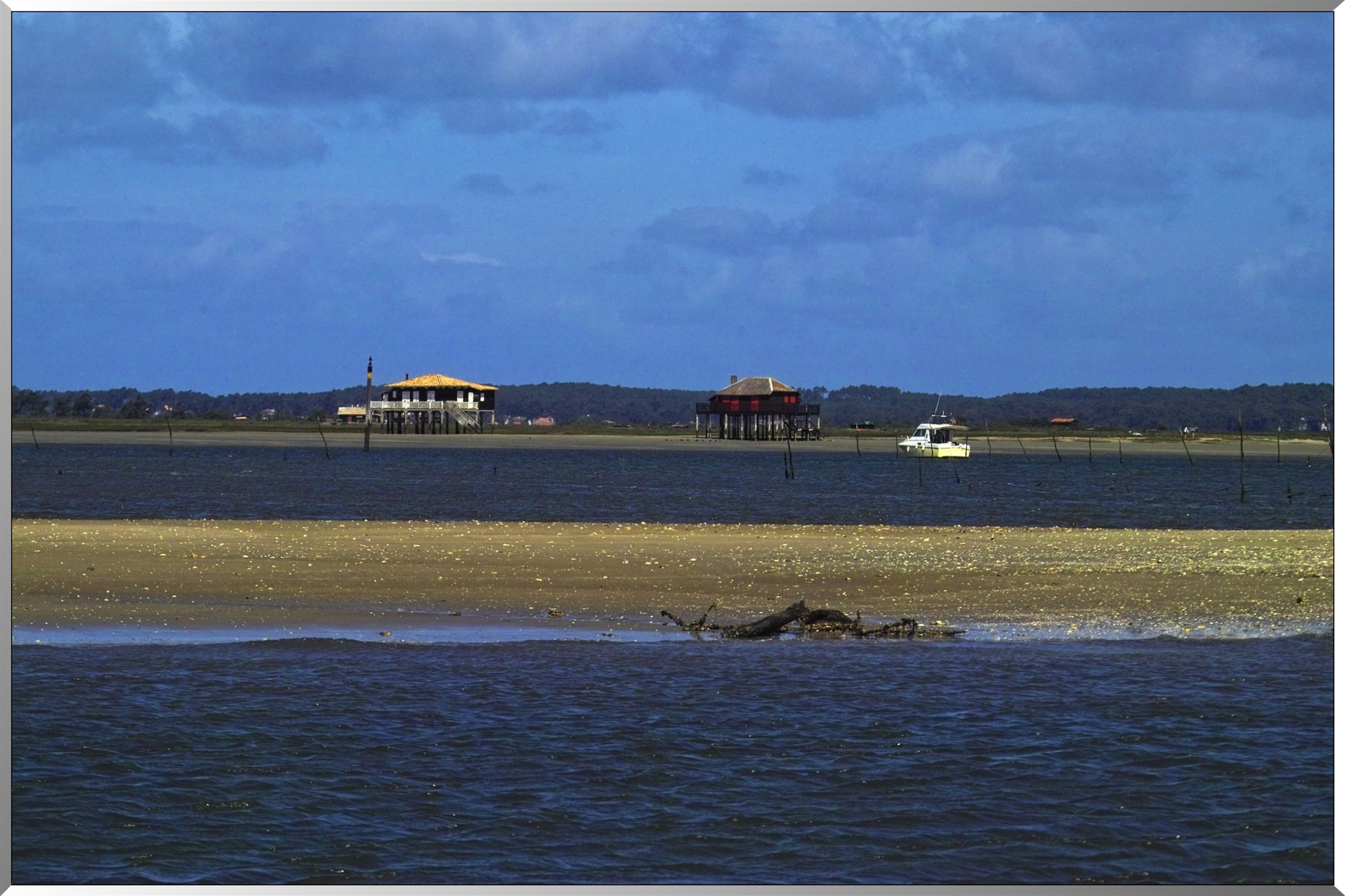 Ile aux oiseaux