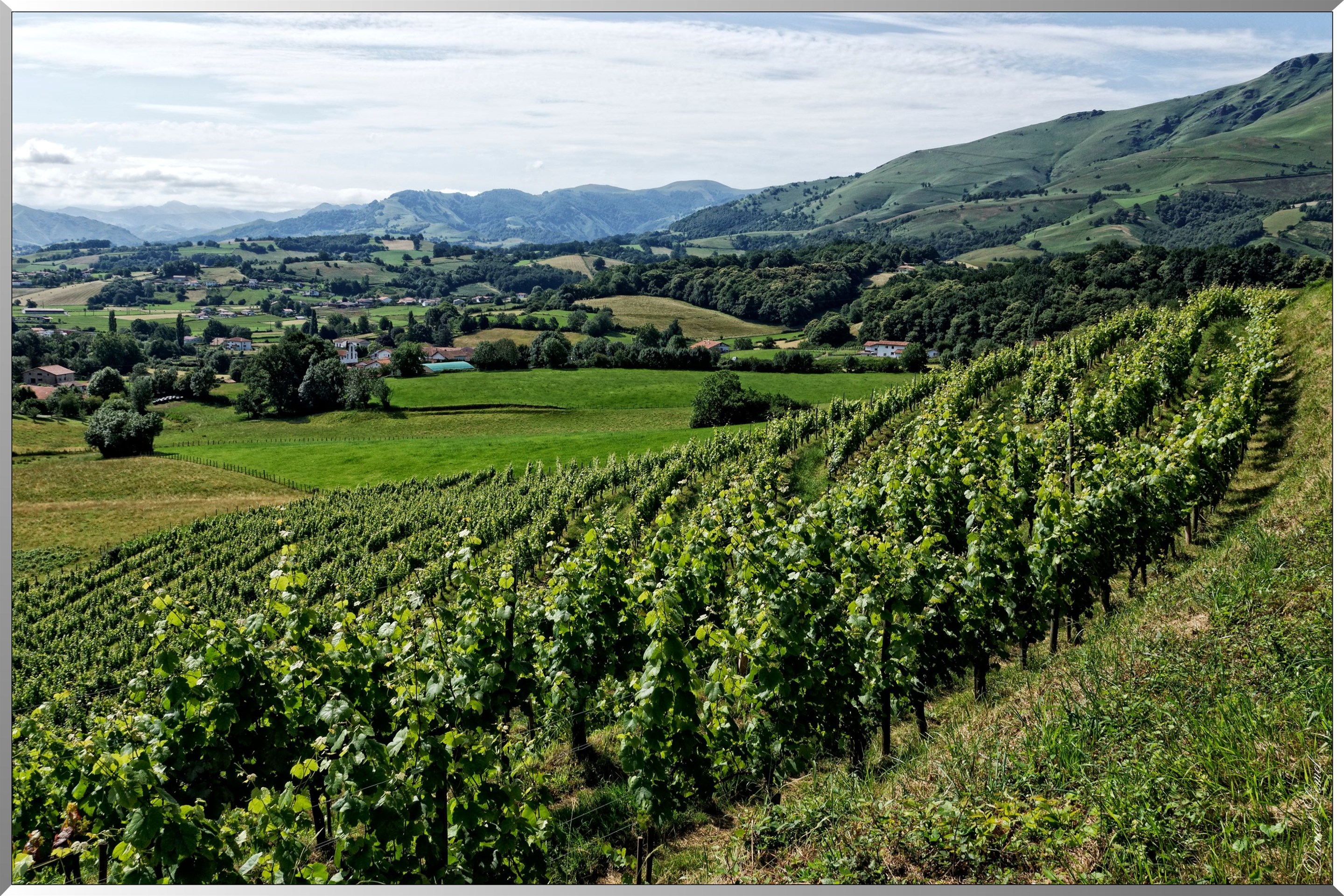 Environ d' Irouléguy