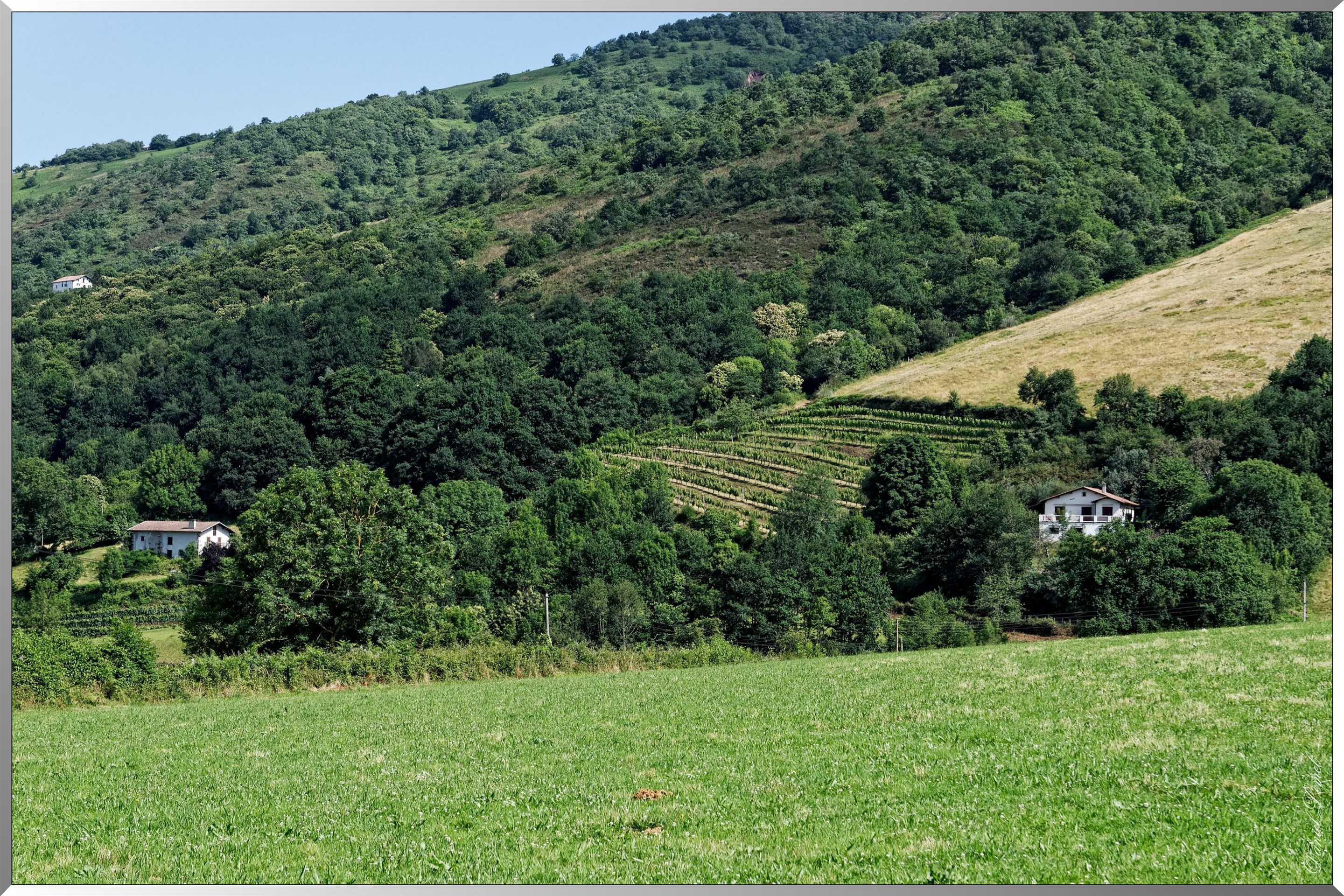 Environ d' Irouléguy