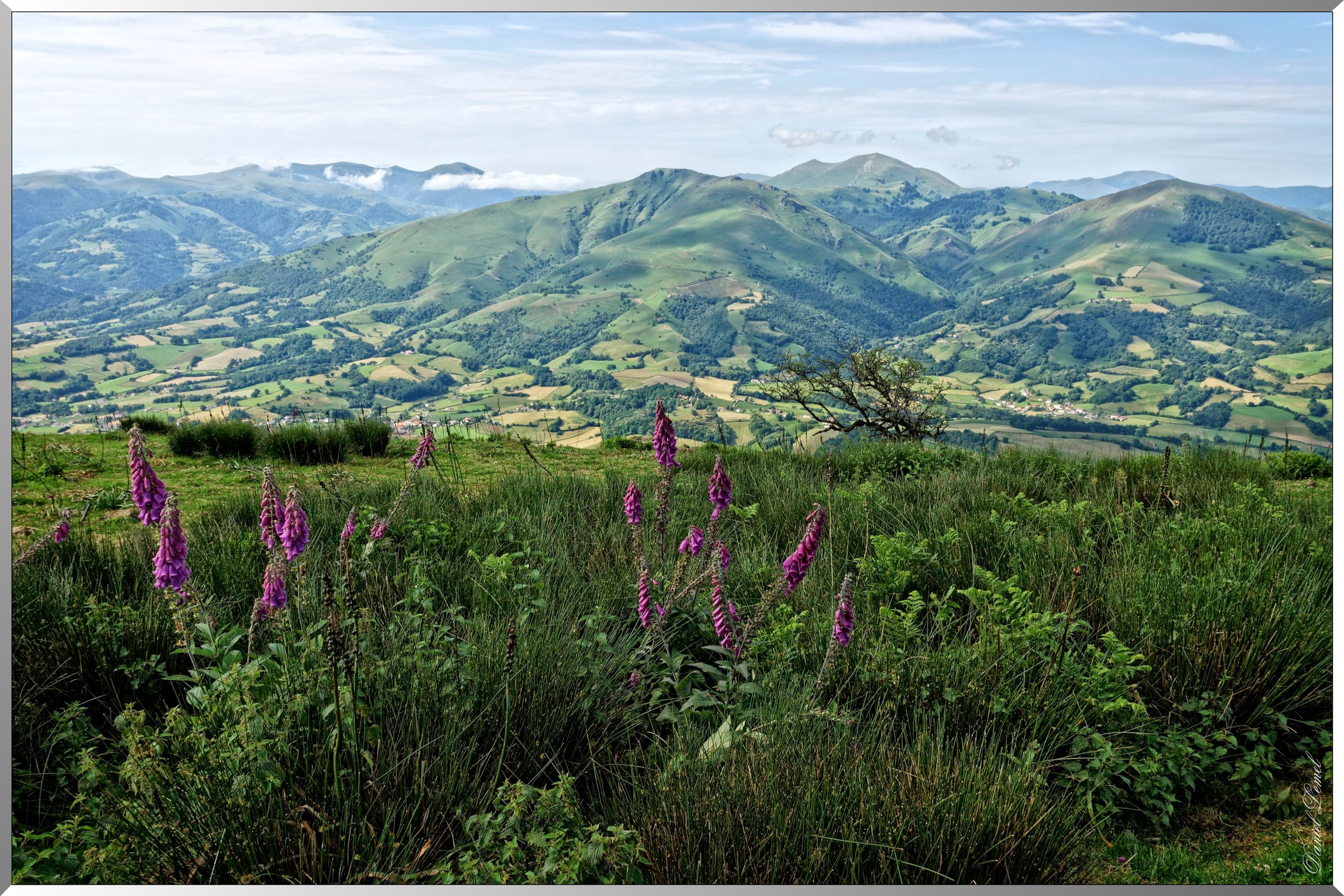 Sommet du mont Jara