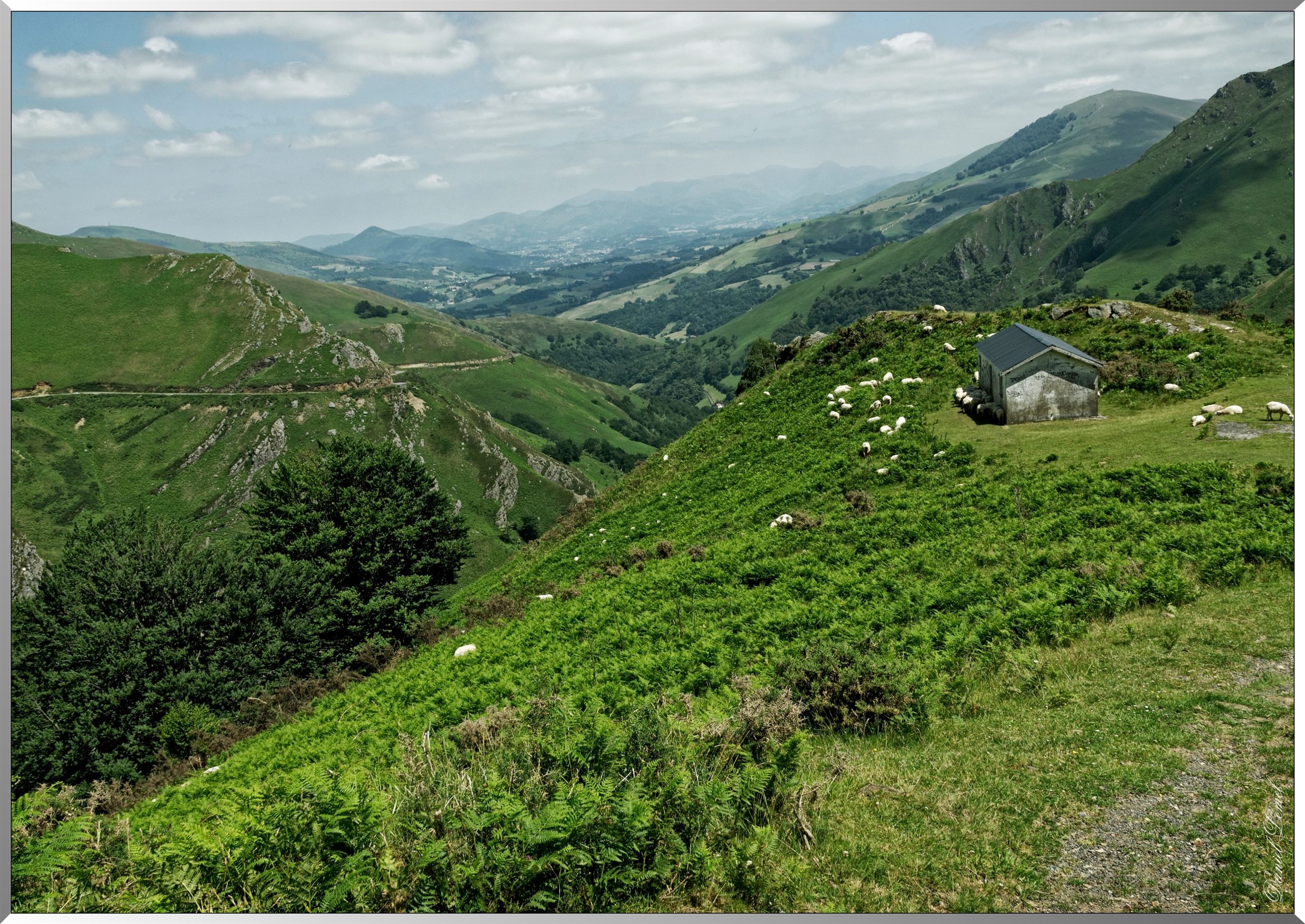 Paysage aux alentours