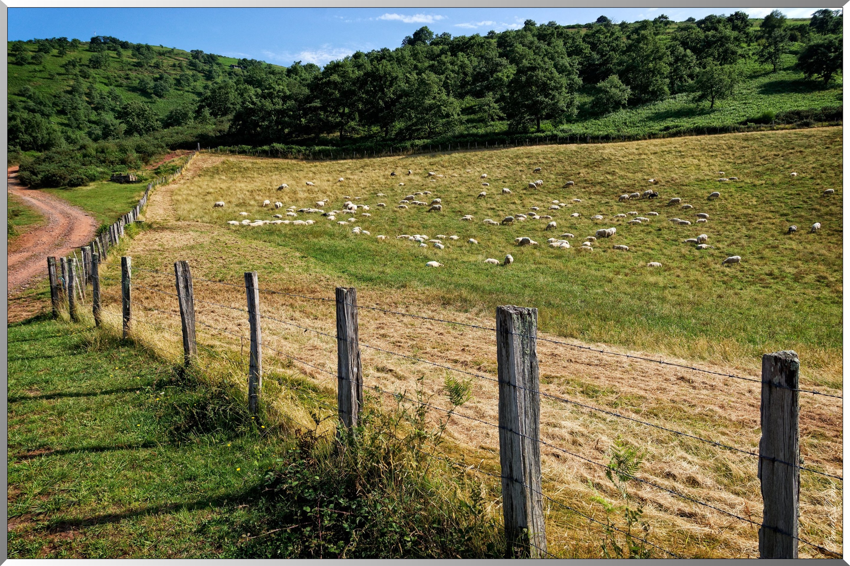 Paysage aux alentours