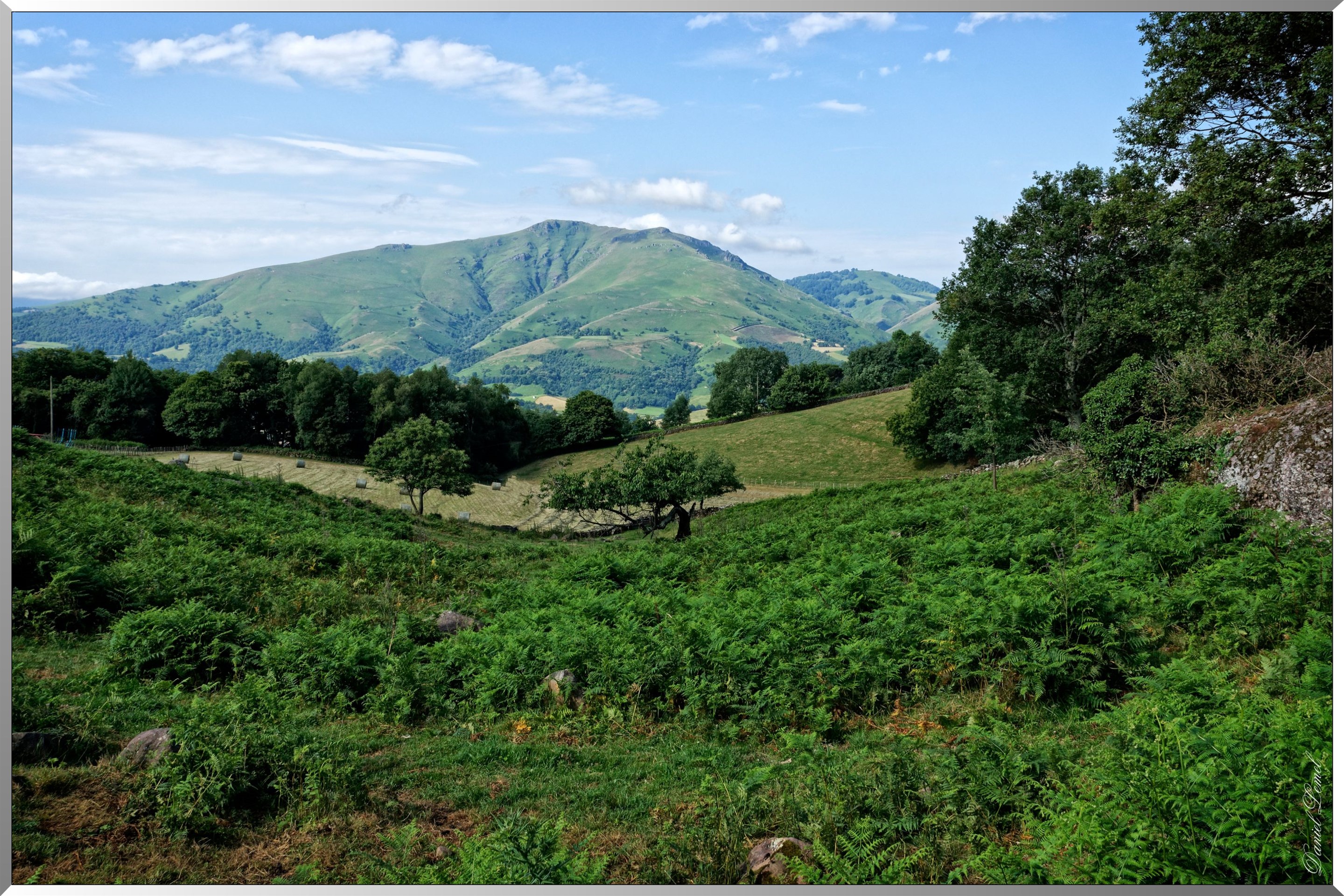 Paysage aux alentours