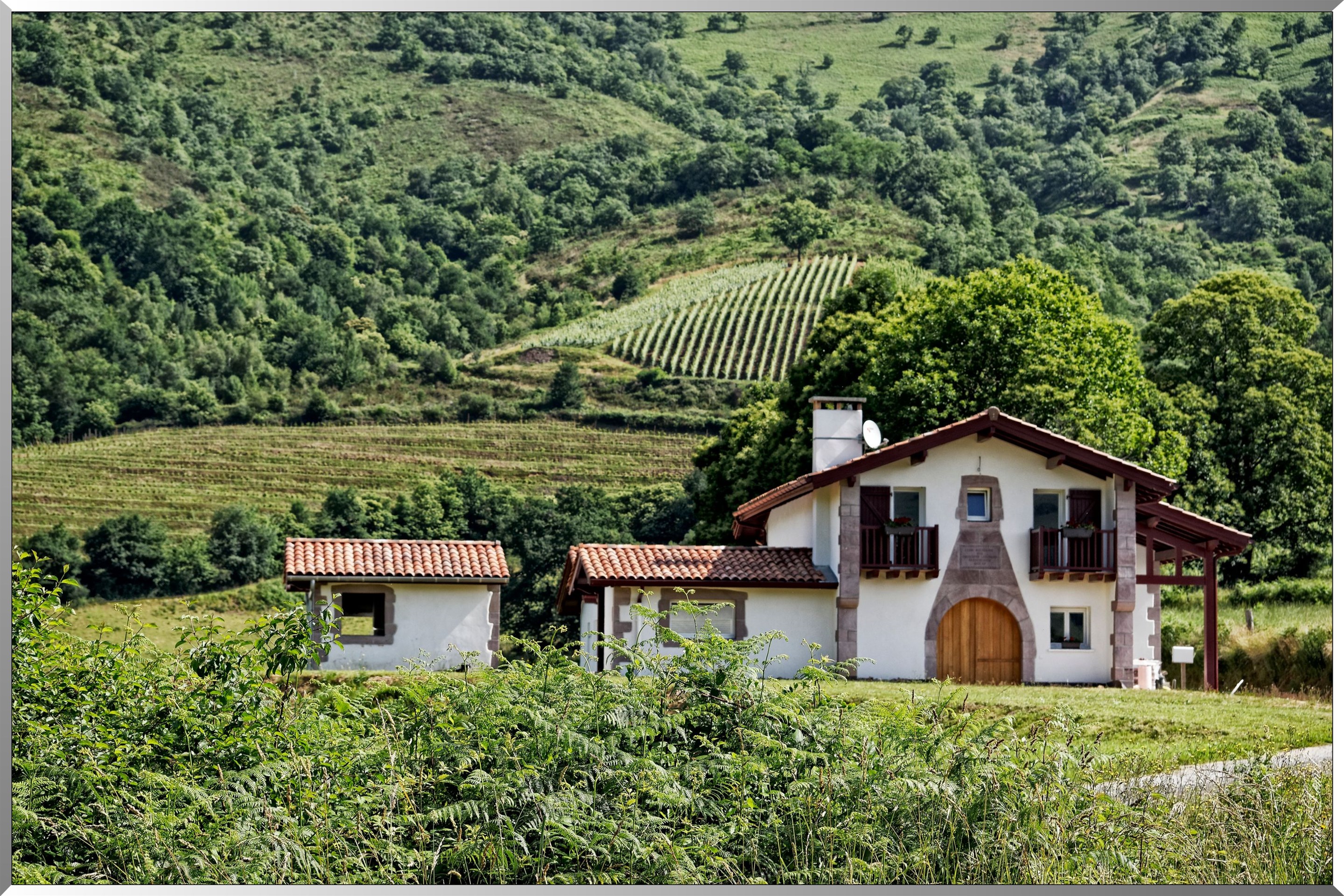 Vignobles