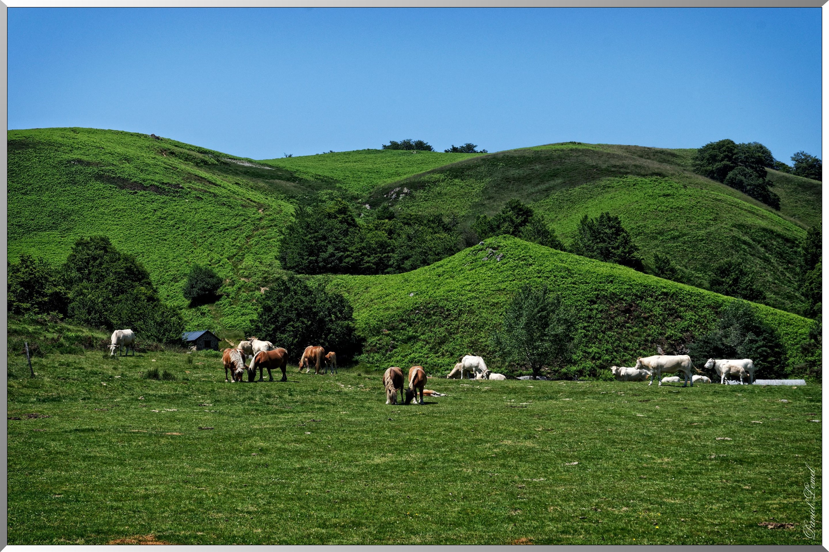 Paysage de montagne