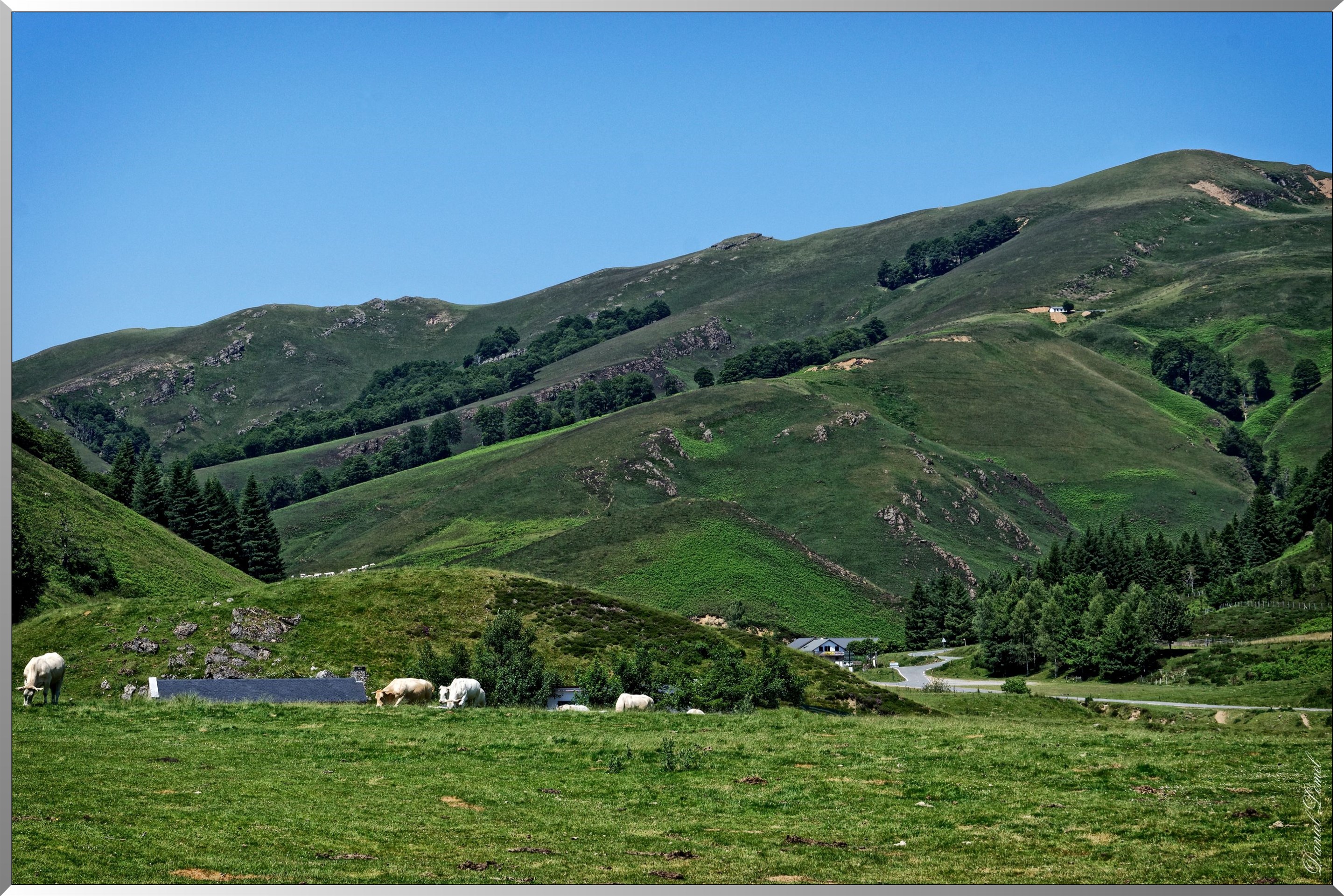 Paysage de montagne