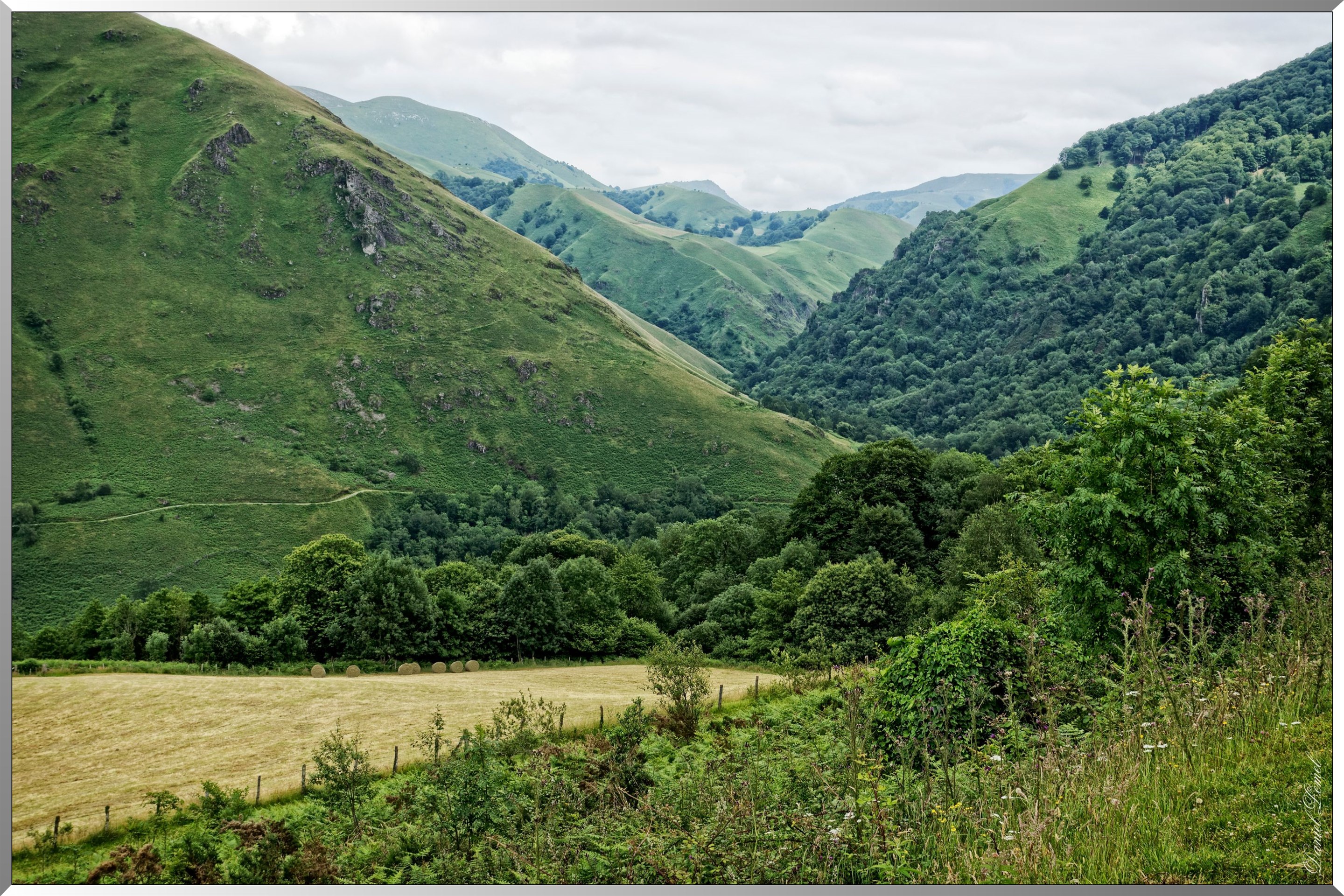 Paysage de montagne