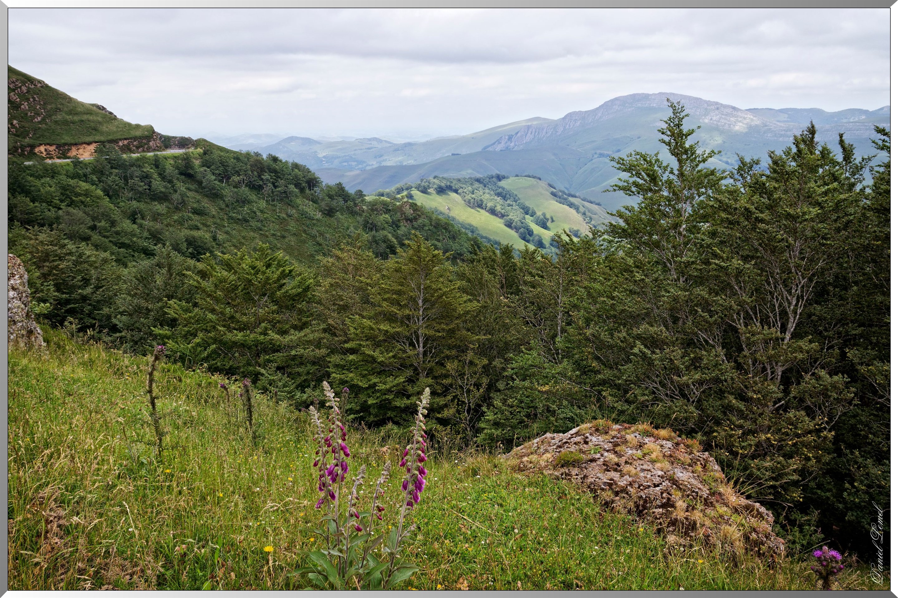 Paysage de montagne
