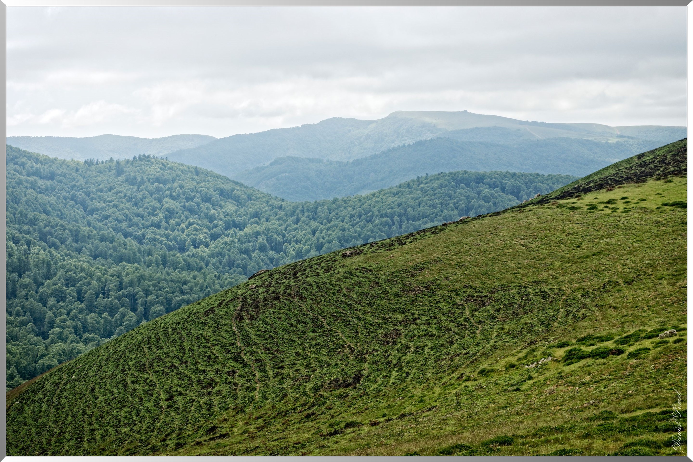 Paysage de montagne