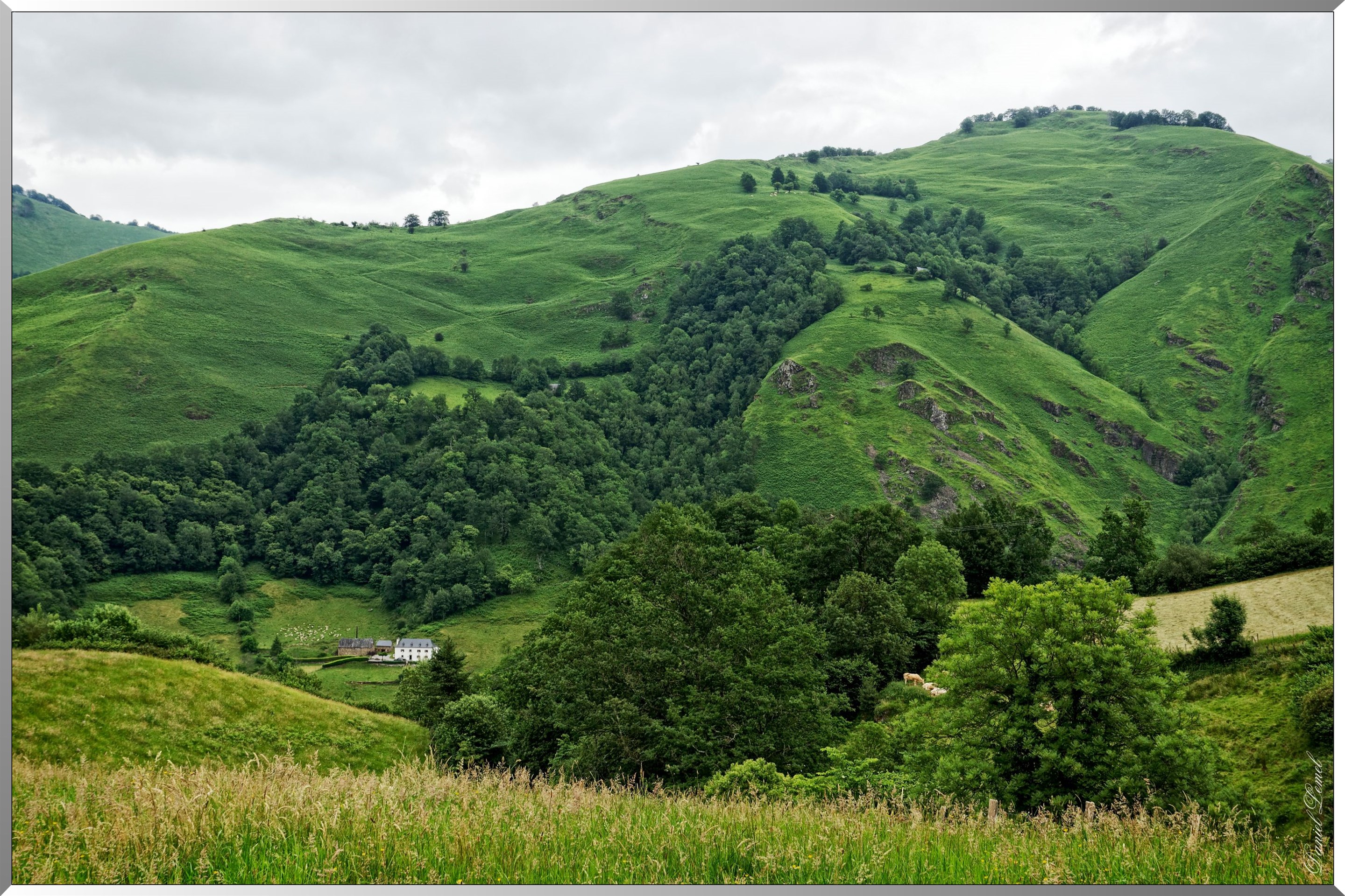 Paysage de montagne