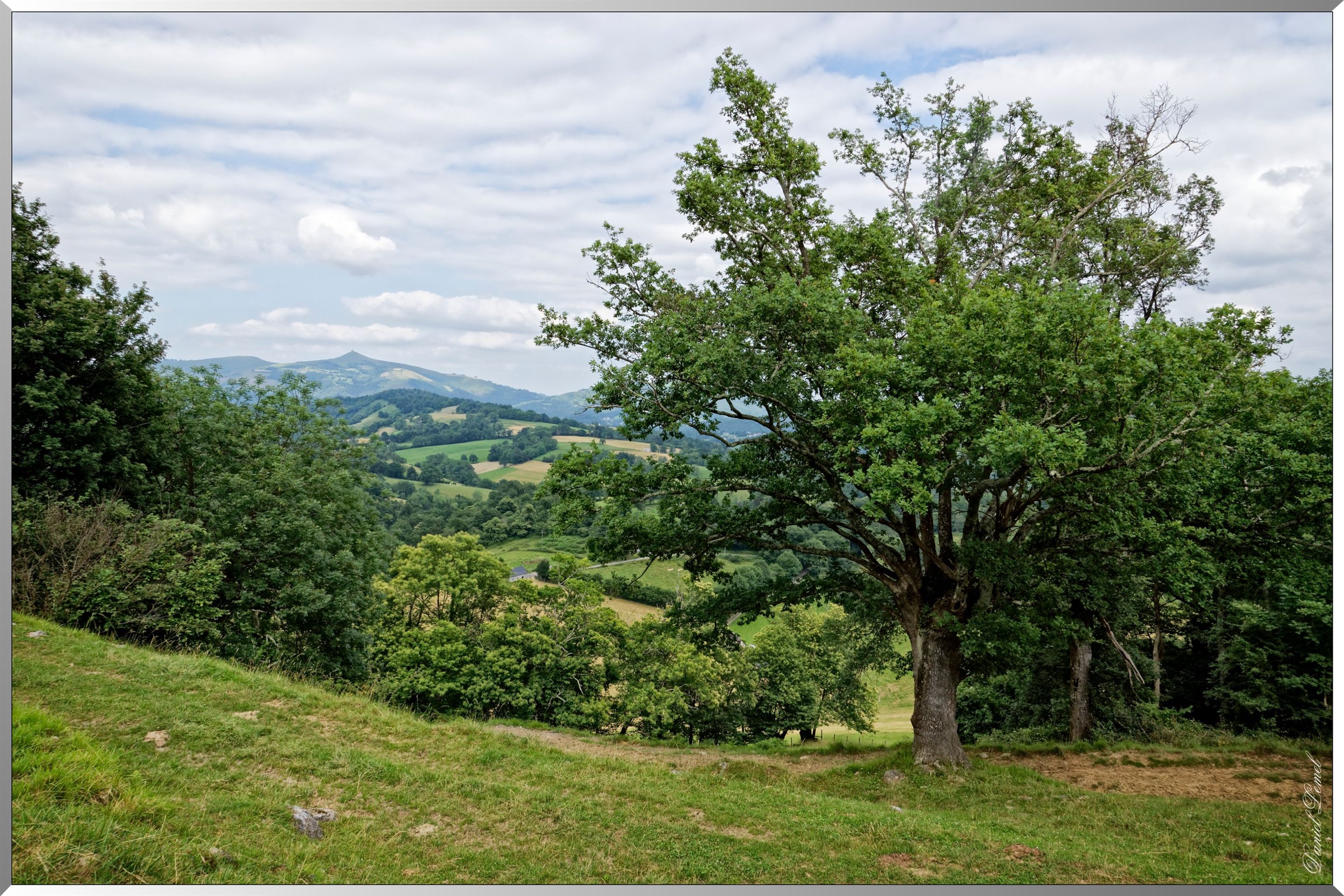 Paysage de montagne