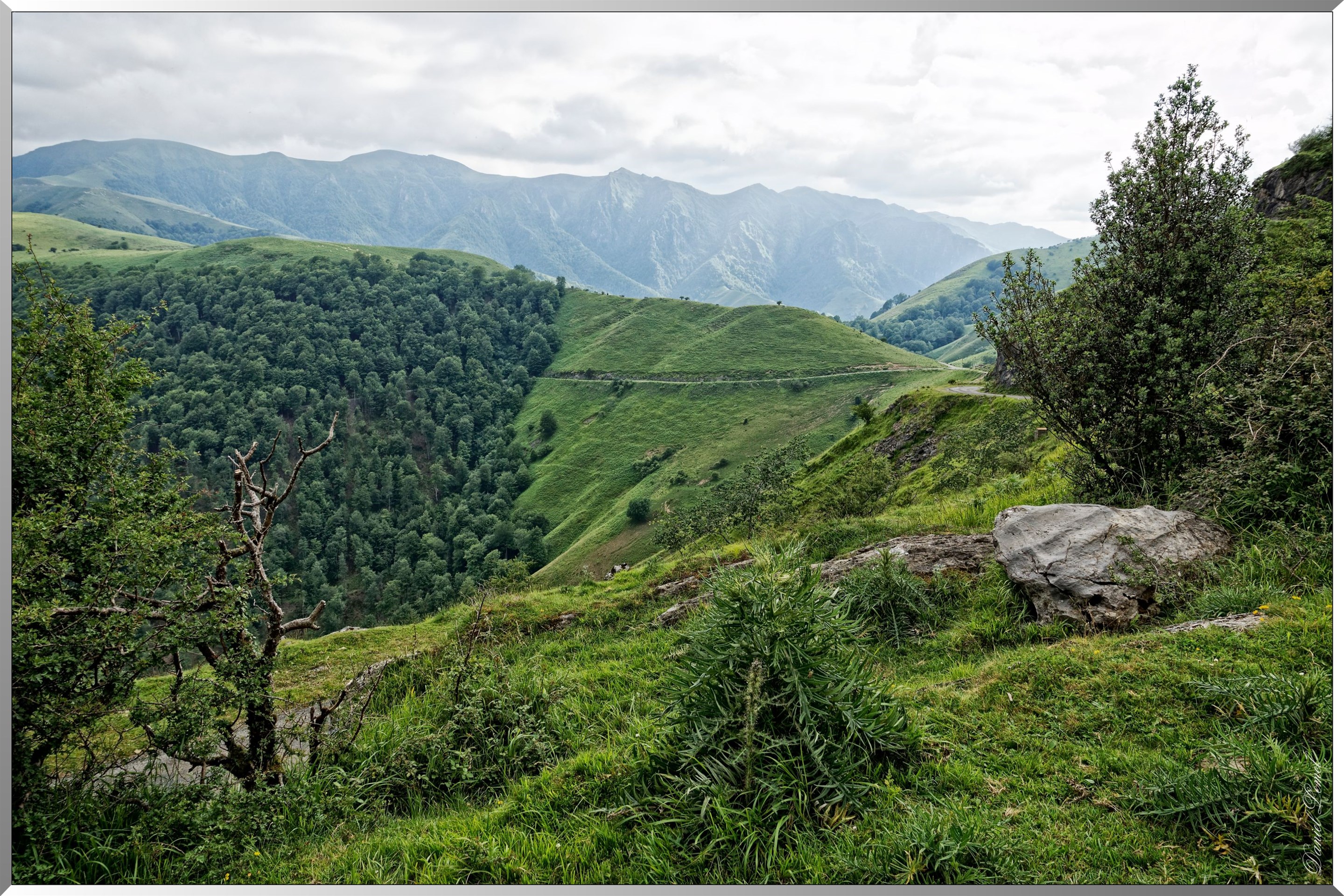 Paysage de montagne