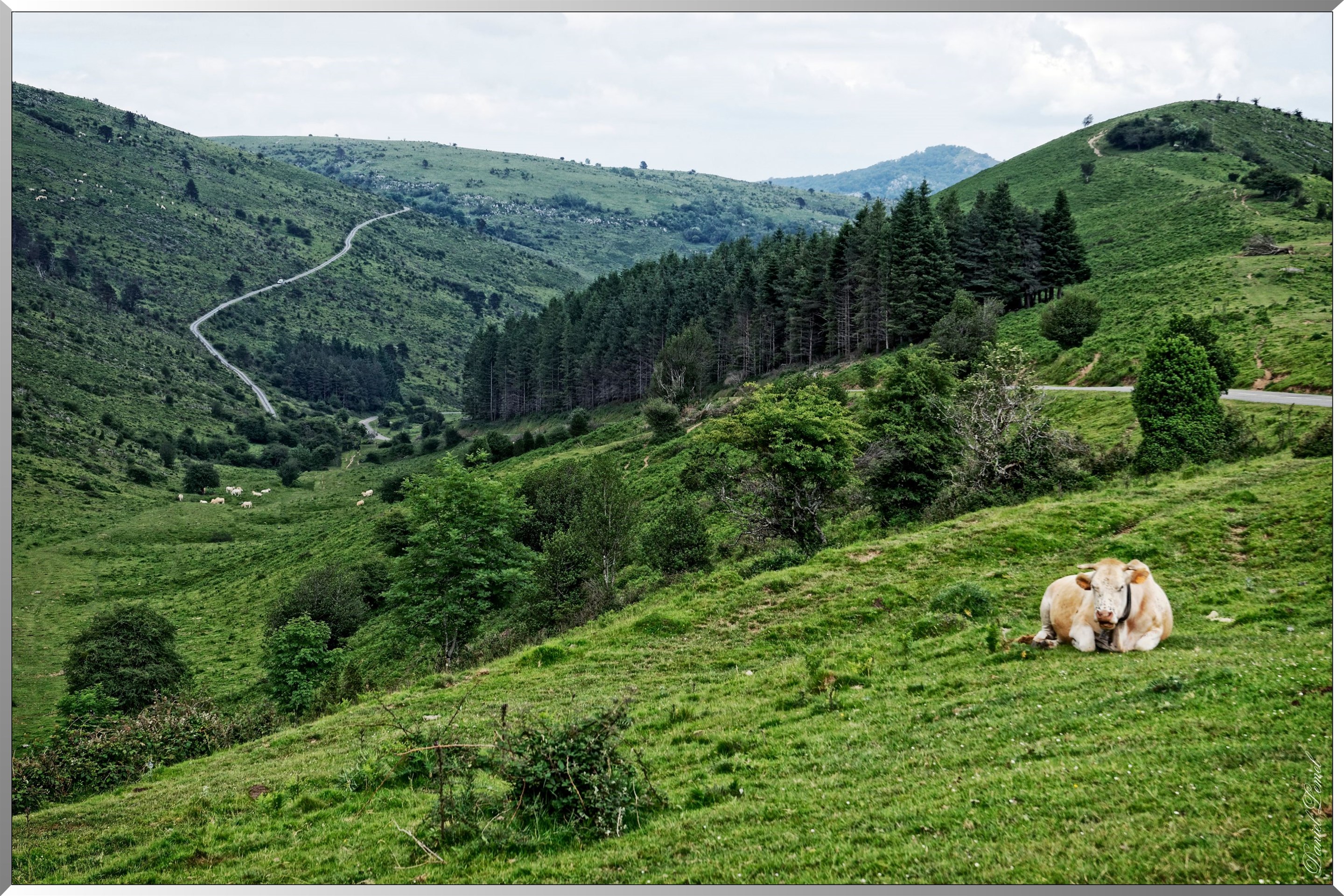 Paysage de montagne
