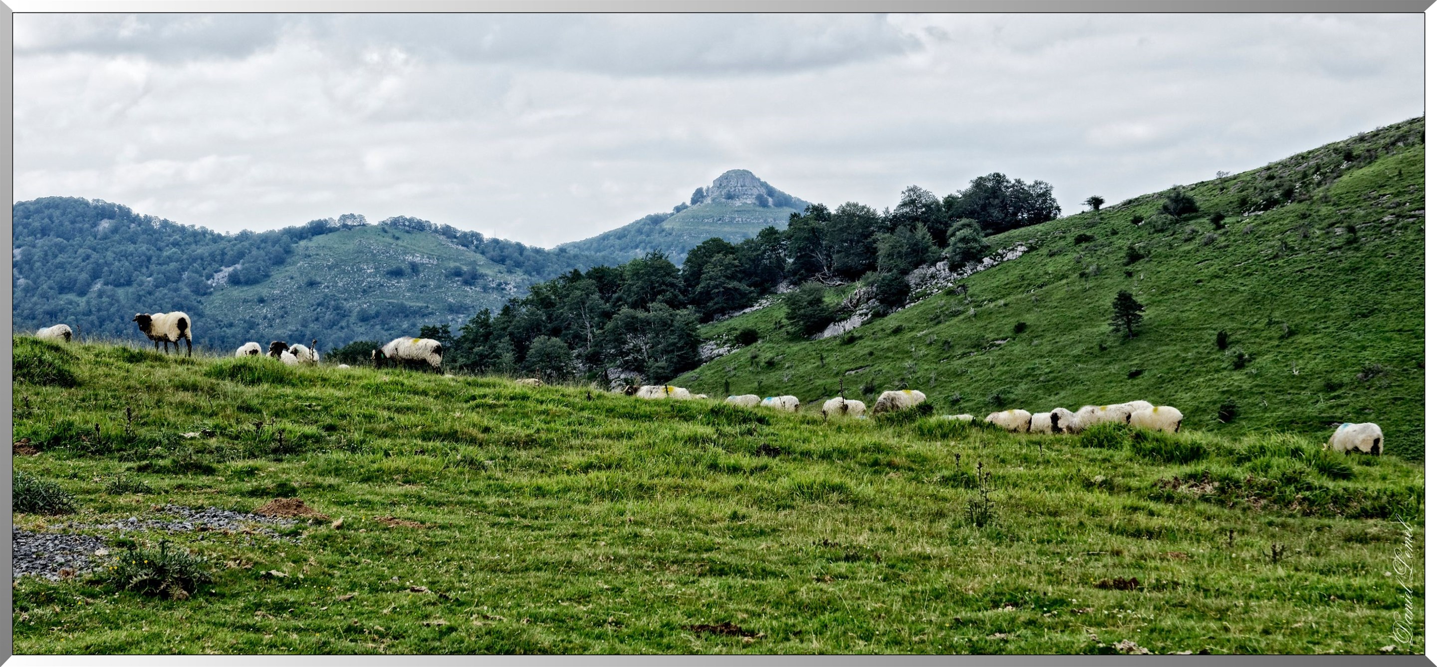 Paysage de montagne