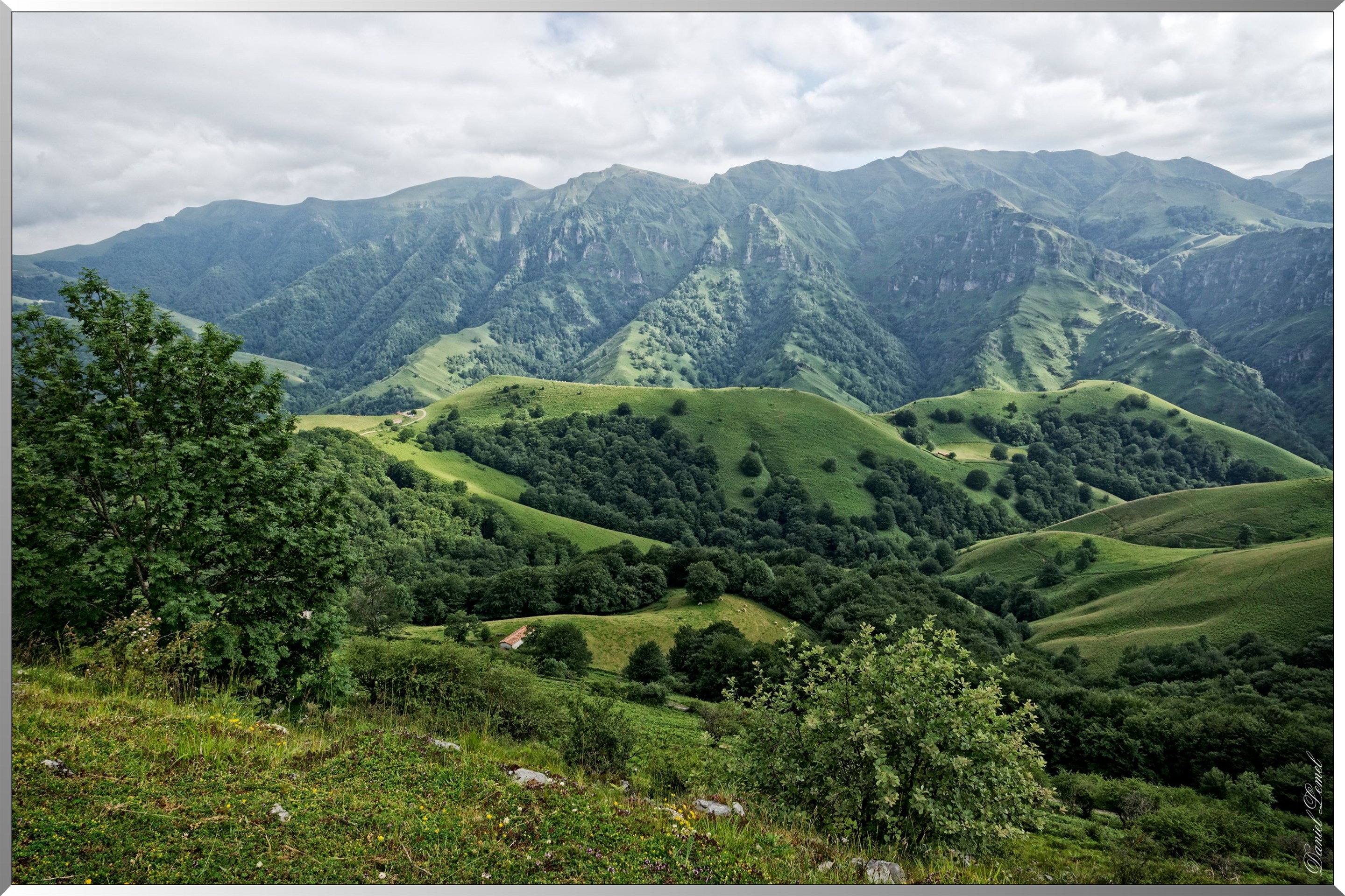 Paysage de montagne