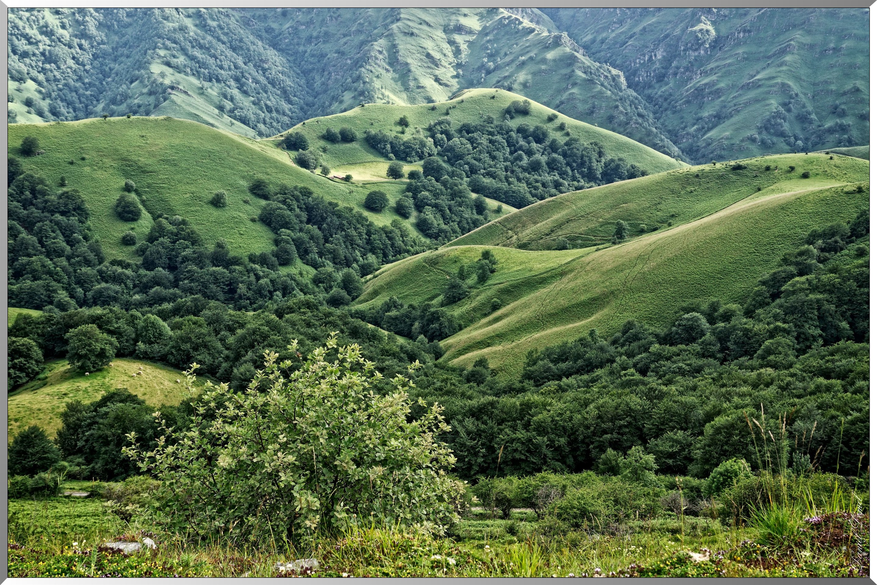 Paysage de montagne