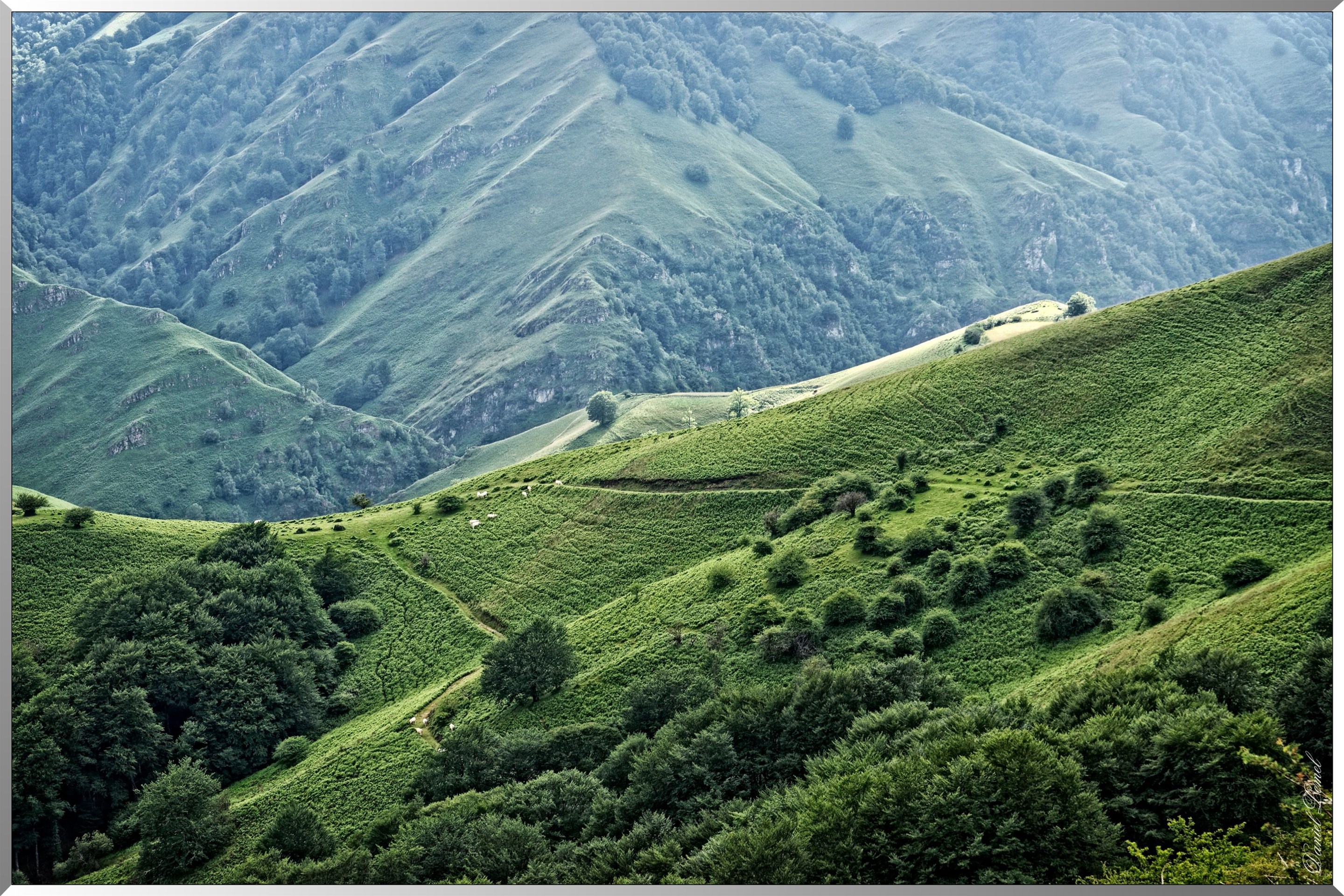 Paysage de montagne